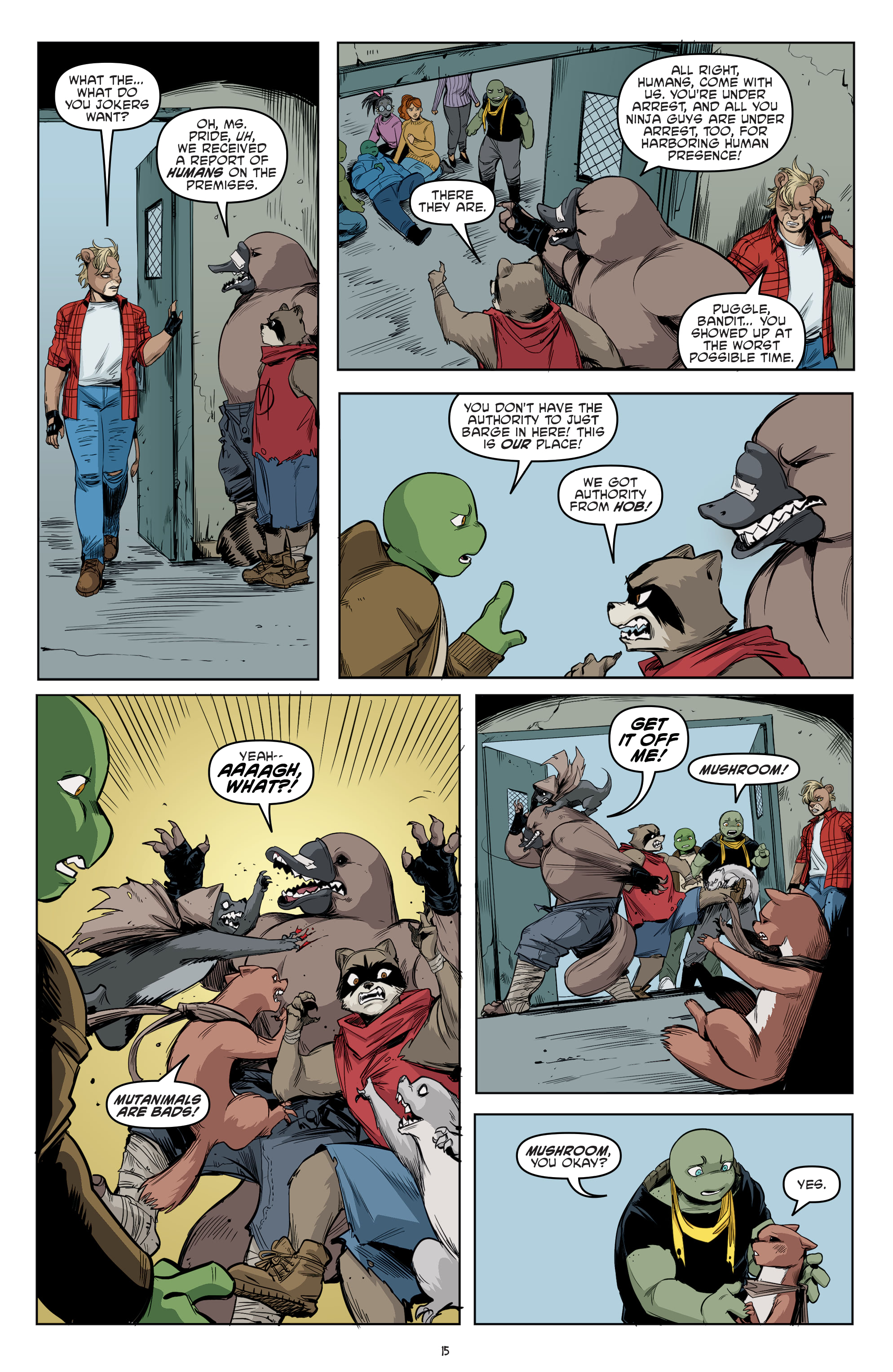 Teenage Mutant Ninja Turtles (2011-) issue 112 - Page 17