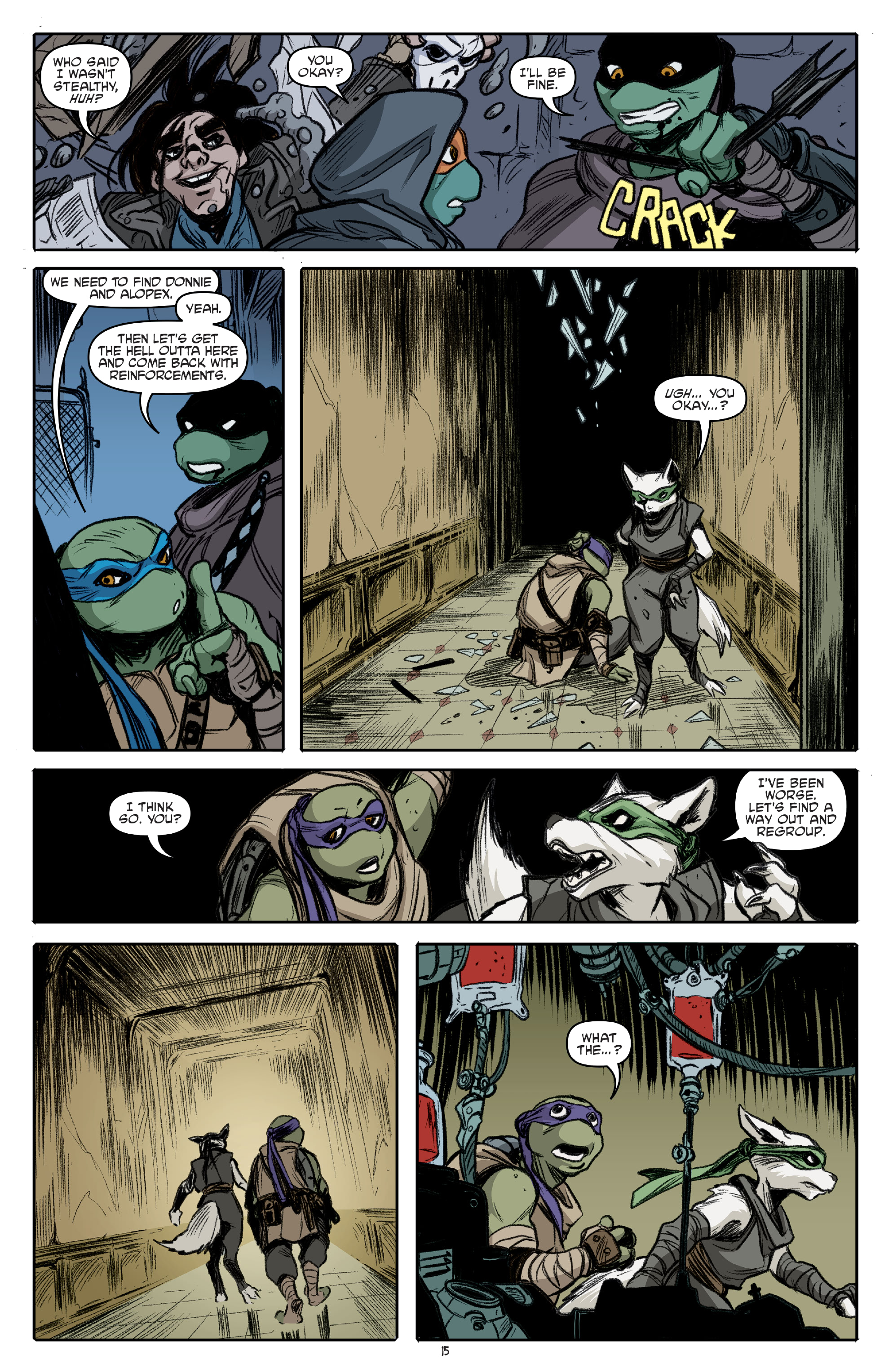 Teenage Mutant Ninja Turtles (2011-) issue 126 - Page 17