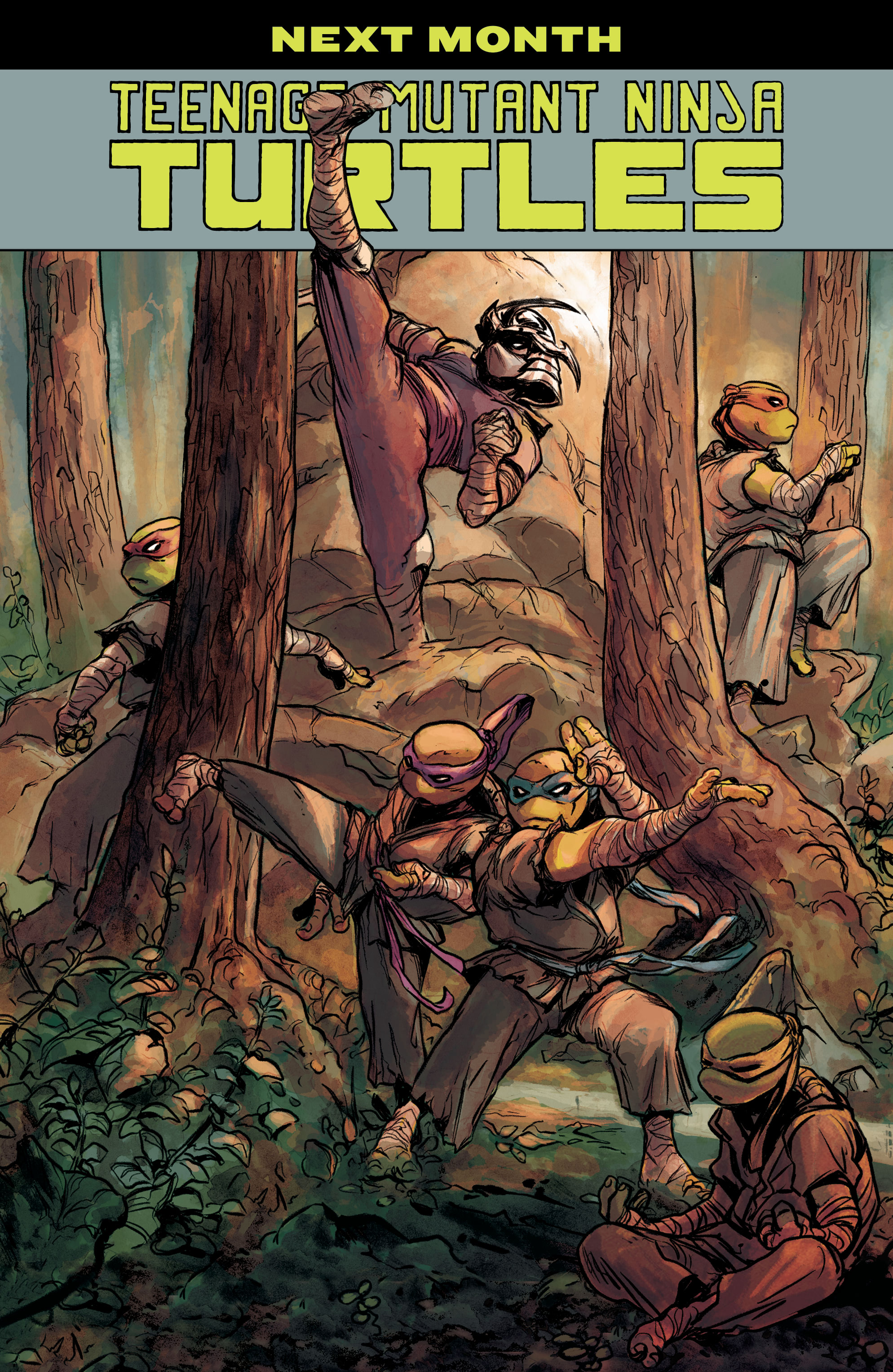 Teenage Mutant Ninja Turtles (2011-) issue 130 - Page 23