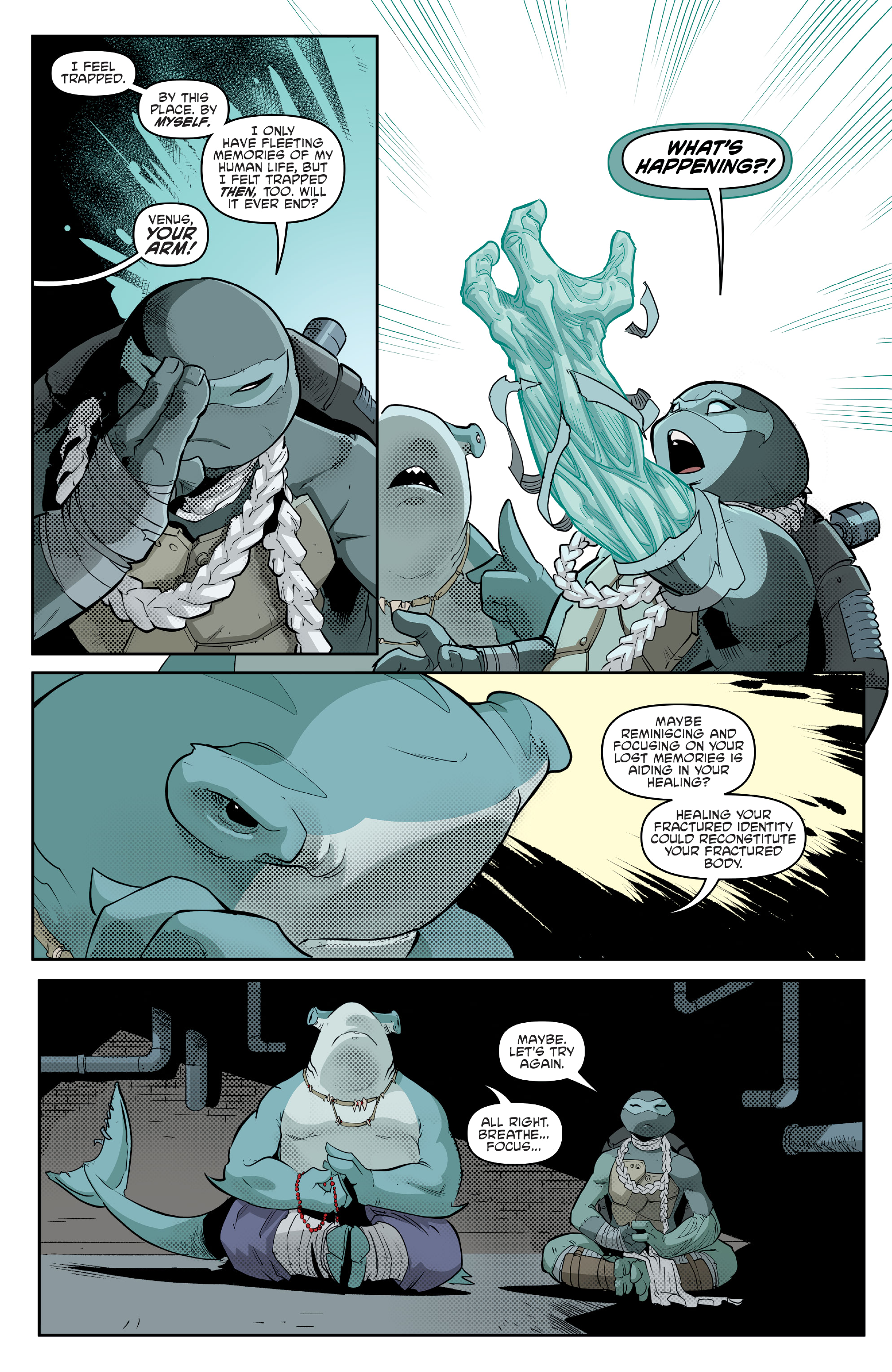 Teenage Mutant Ninja Turtles (2011-) issue 133 - Page 15