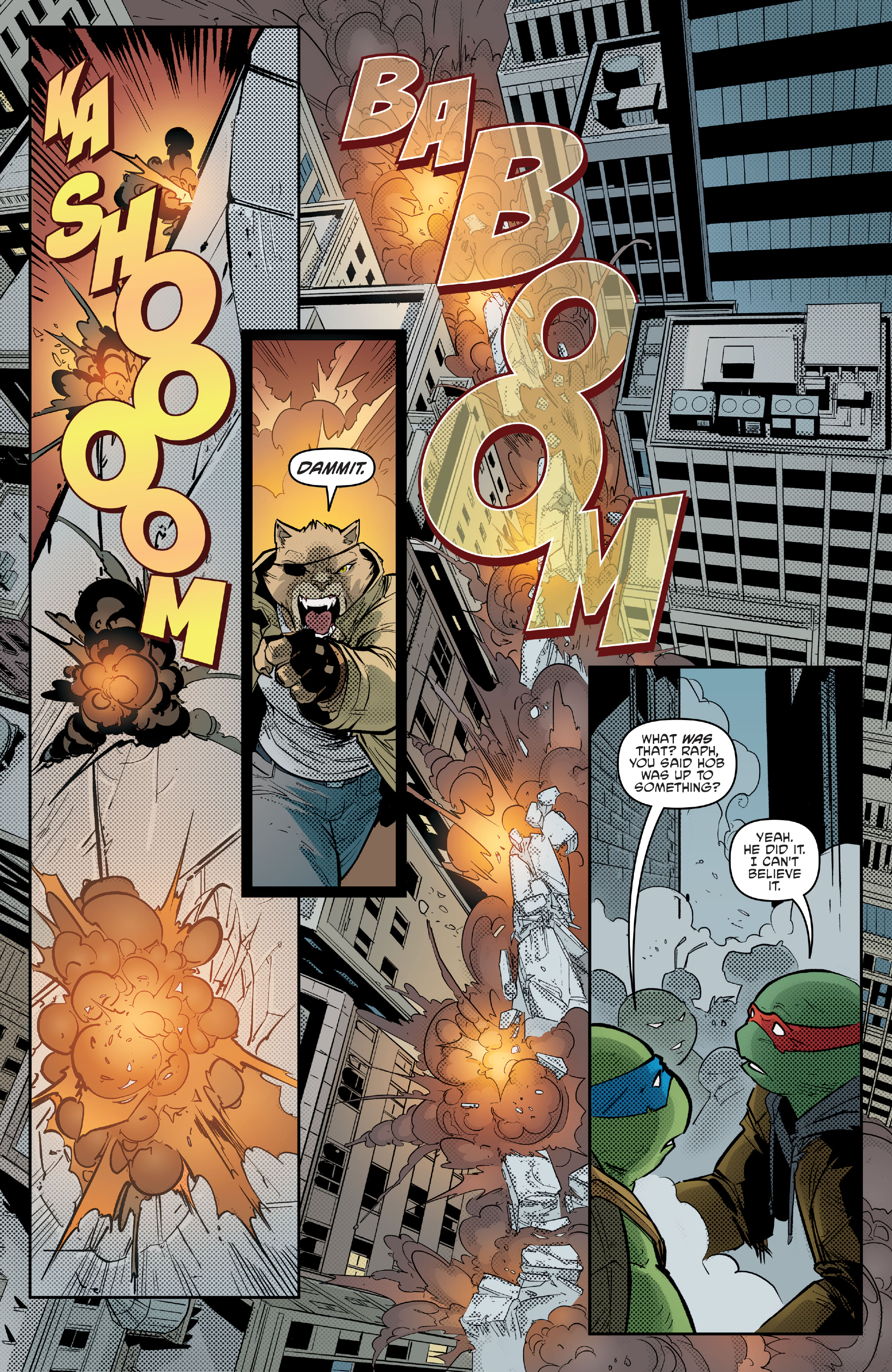 Teenage Mutant Ninja Turtles (2011-) issue 138 - Page 17