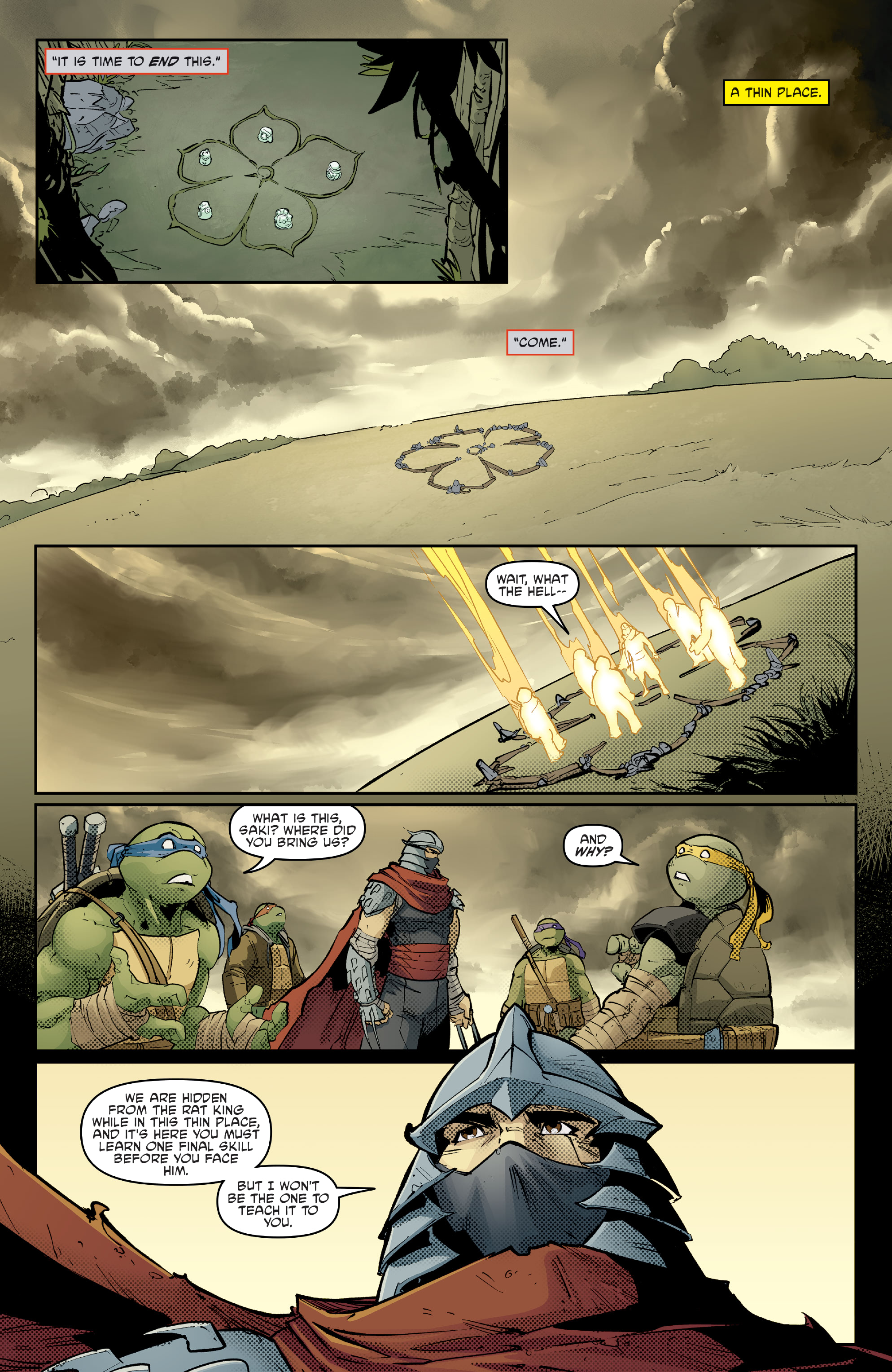 Teenage Mutant Ninja Turtles (2011-): Chapter 139 - Page 3