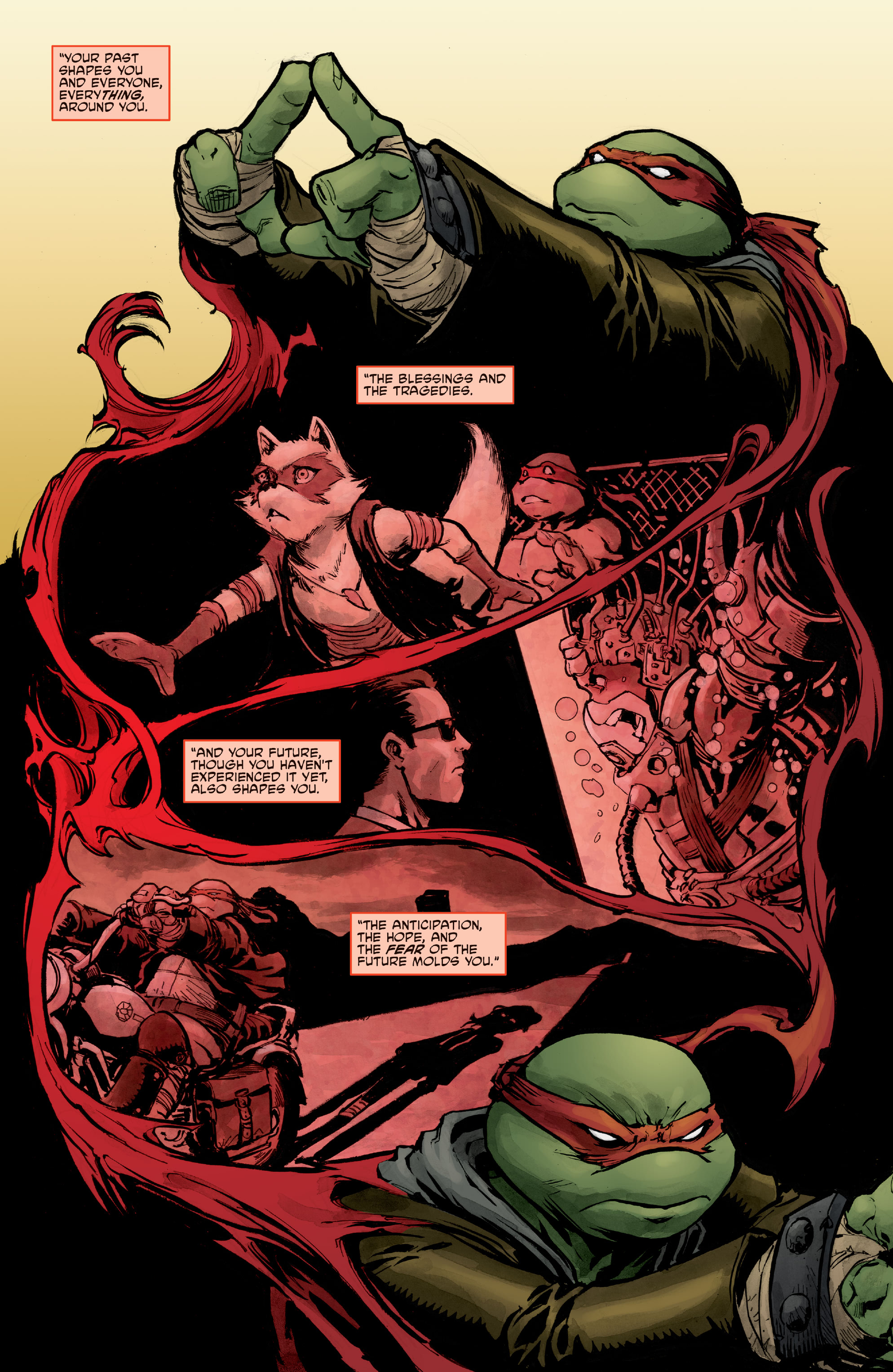 Teenage Mutant Ninja Turtles (2011-) issue 139 - Page 13