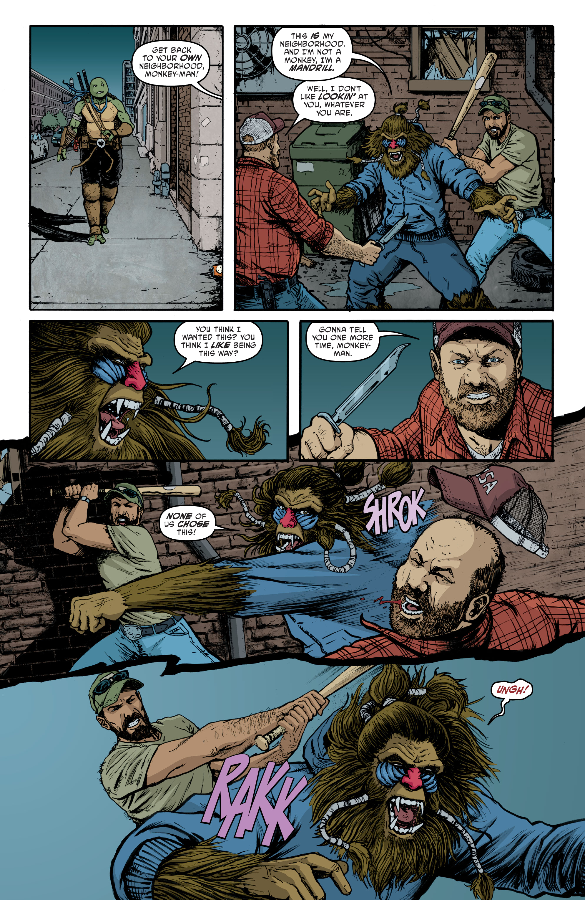 Teenage Mutant Ninja Turtles (2011-) issue 140 - Page 15