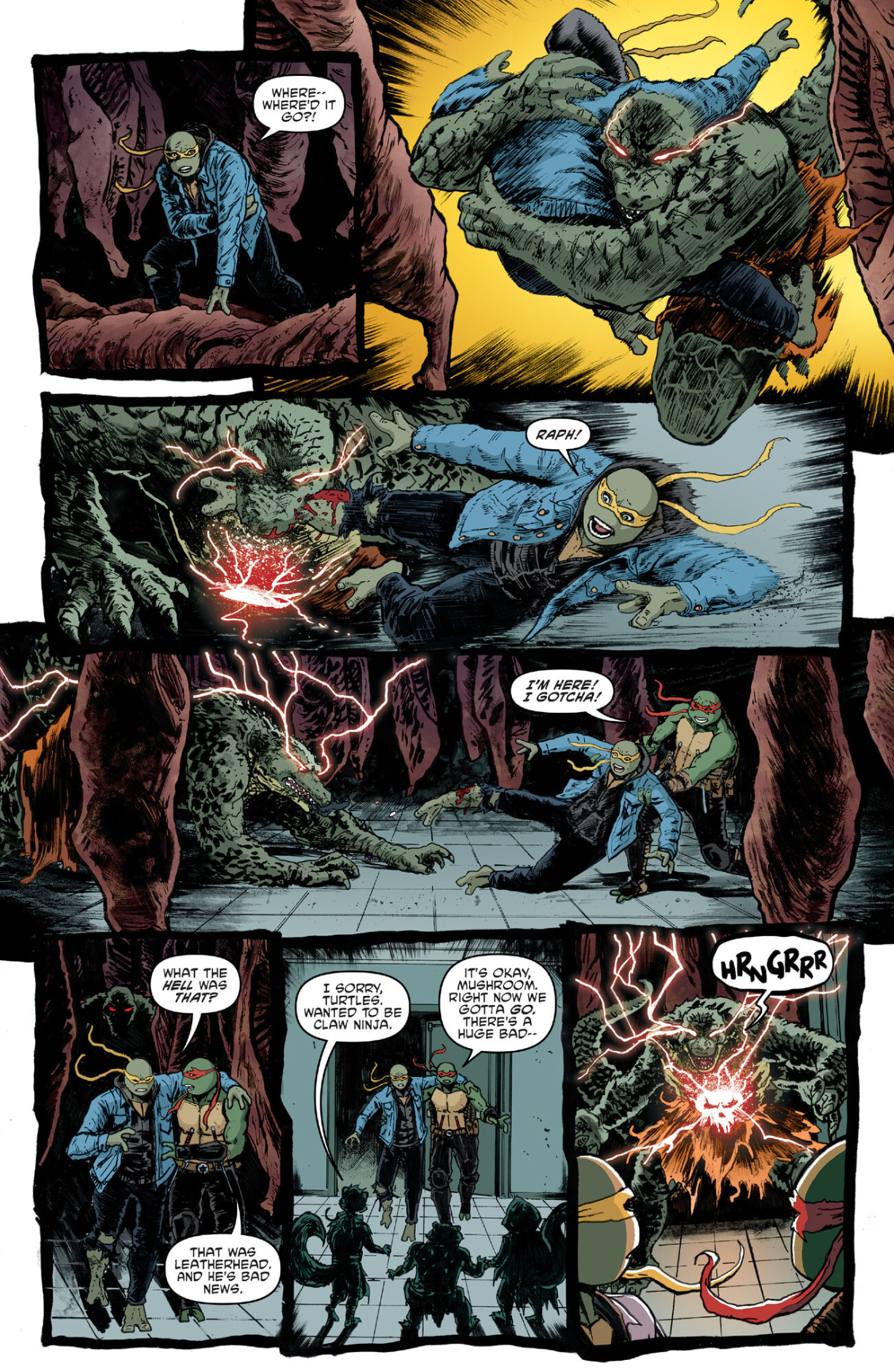 Teenage Mutant Ninja Turtles (2011-) issue 141 - Page 17