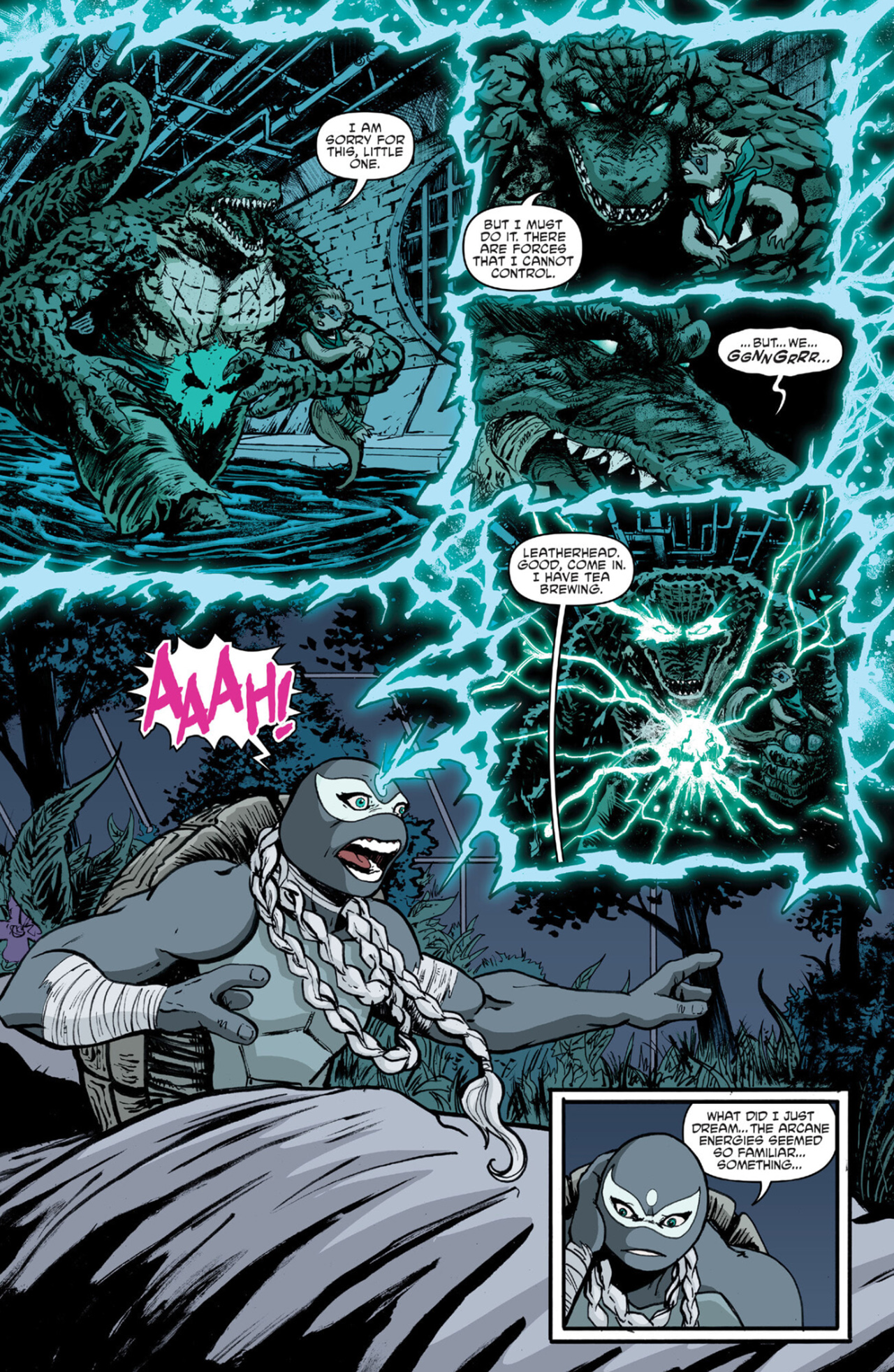 Teenage Mutant Ninja Turtles (2011-) issue 141 - Page 21