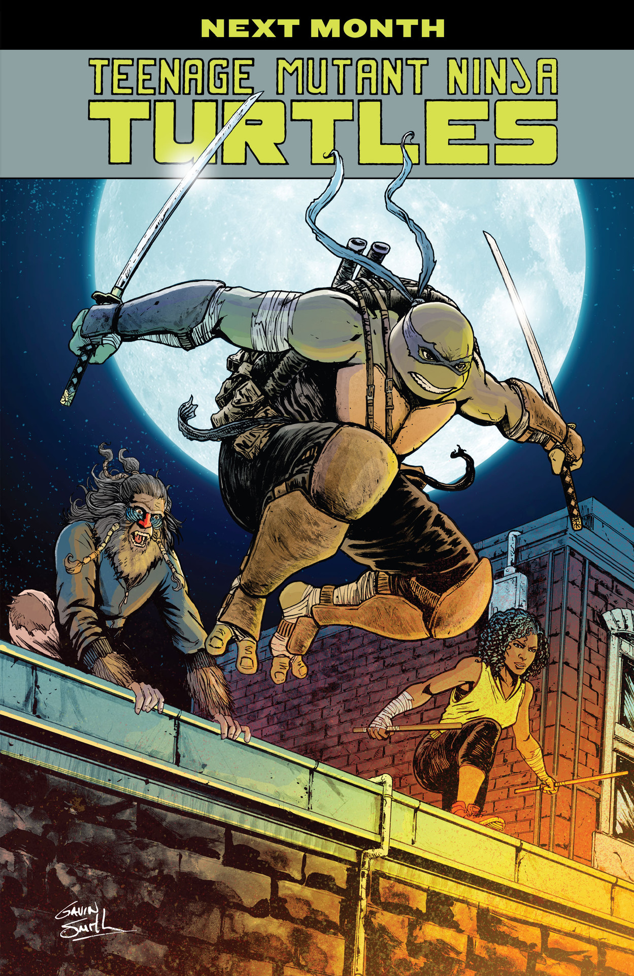 Teenage Mutant Ninja Turtles (2011-) issue 143 - Page 23