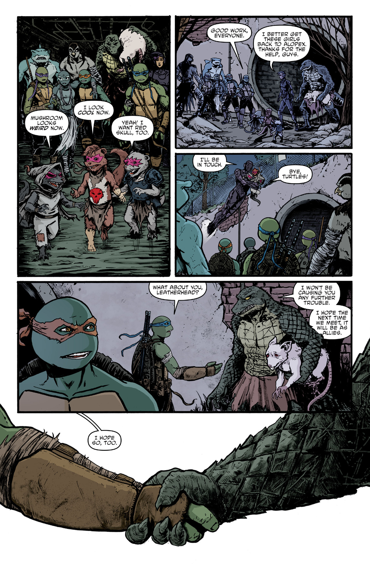 Teenage Mutant Ninja Turtles (2011-) issue 144 - Page 13