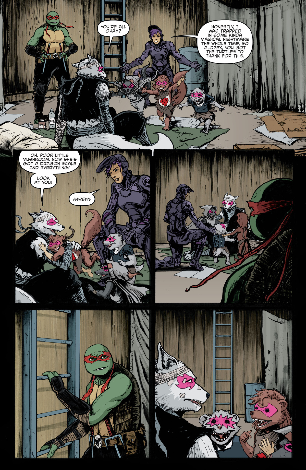 Teenage Mutant Ninja Turtles (2011-) issue 144 - Page 14