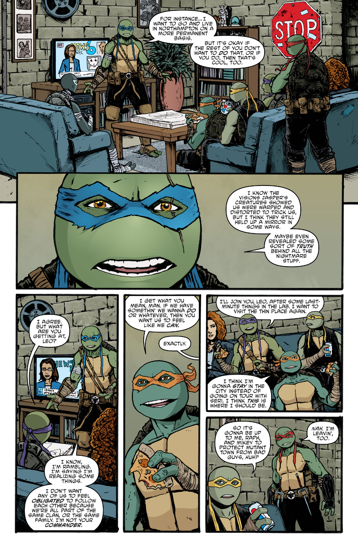 Teenage Mutant Ninja Turtles (2011-) issue 144 - Page 17