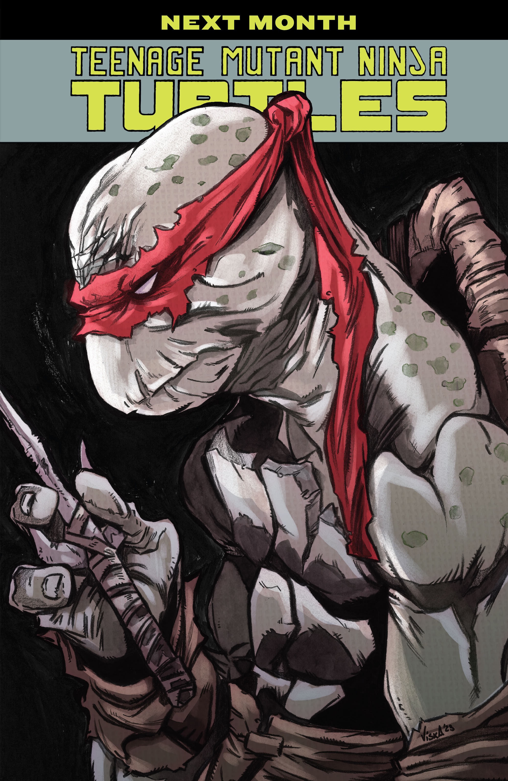 Teenage Mutant Ninja Turtles (2011-) issue 146 - Page 23