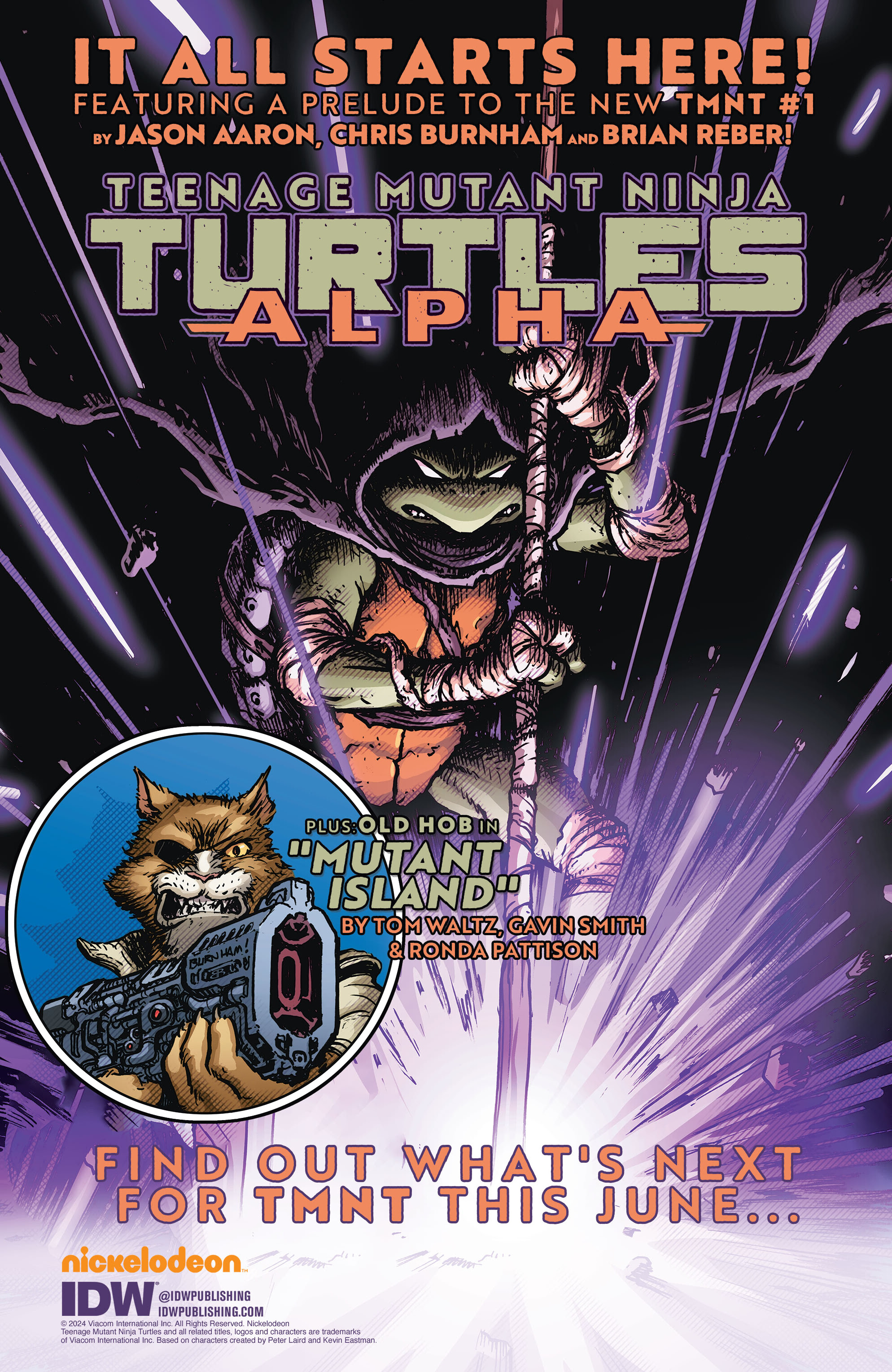 Teenage Mutant Ninja Turtles (2011-) issue 150 - Page 55