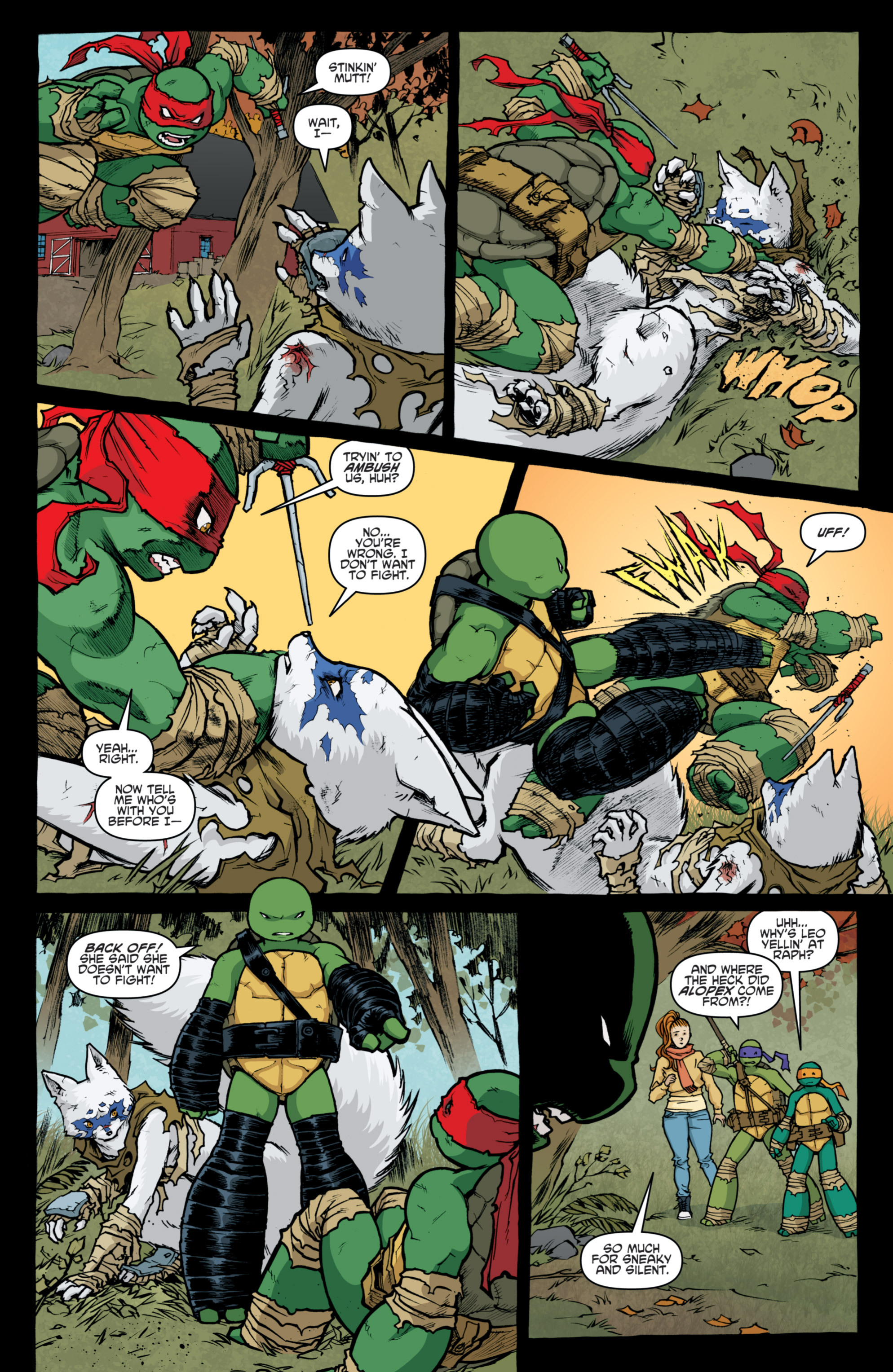 Teenage Mutant Ninja Turtles (2011-): Chapter 29 - Page 13