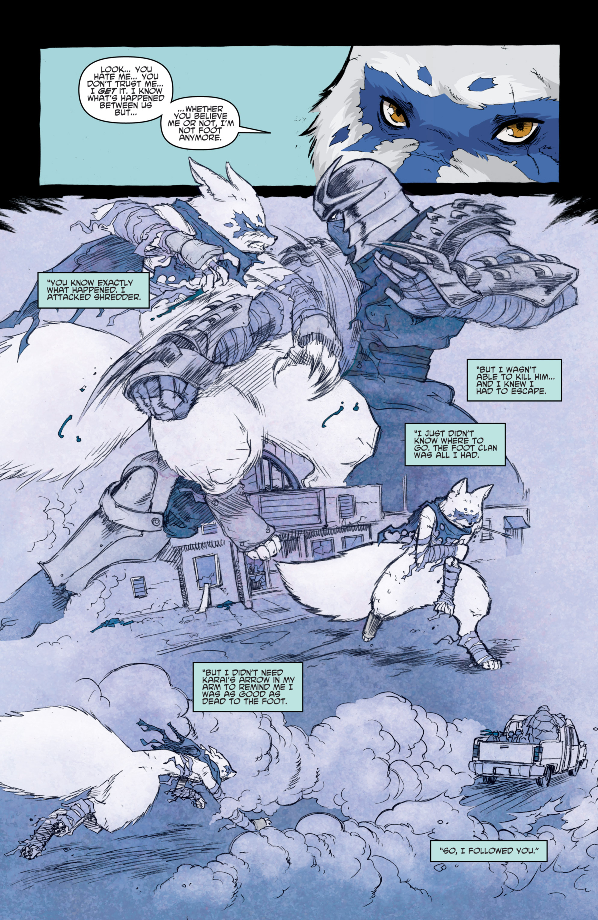 Teenage Mutant Ninja Turtles (2011-): Chapter 29 - Page 17