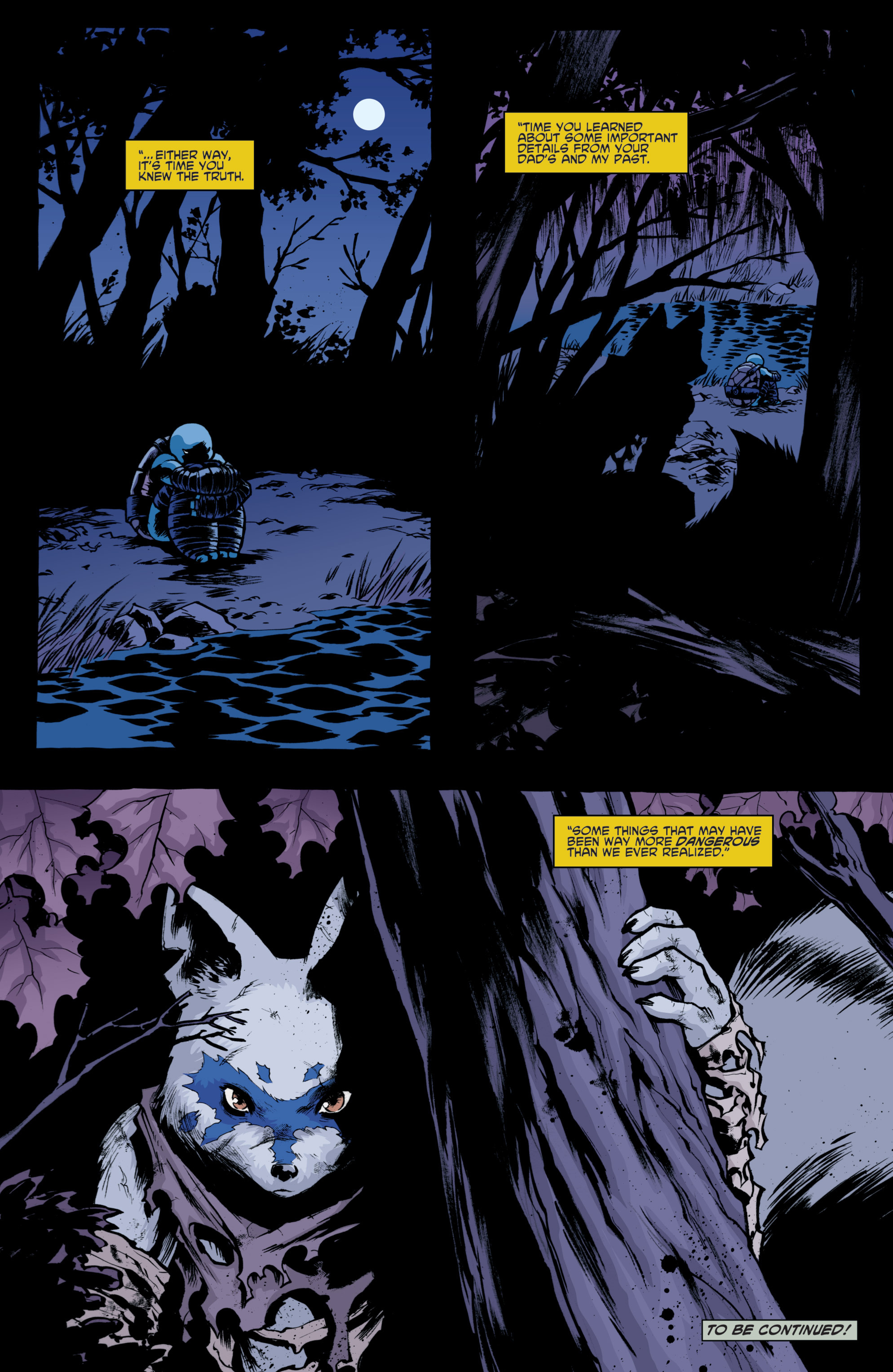 Teenage Mutant Ninja Turtles (2011-): Chapter 29 - Page 26