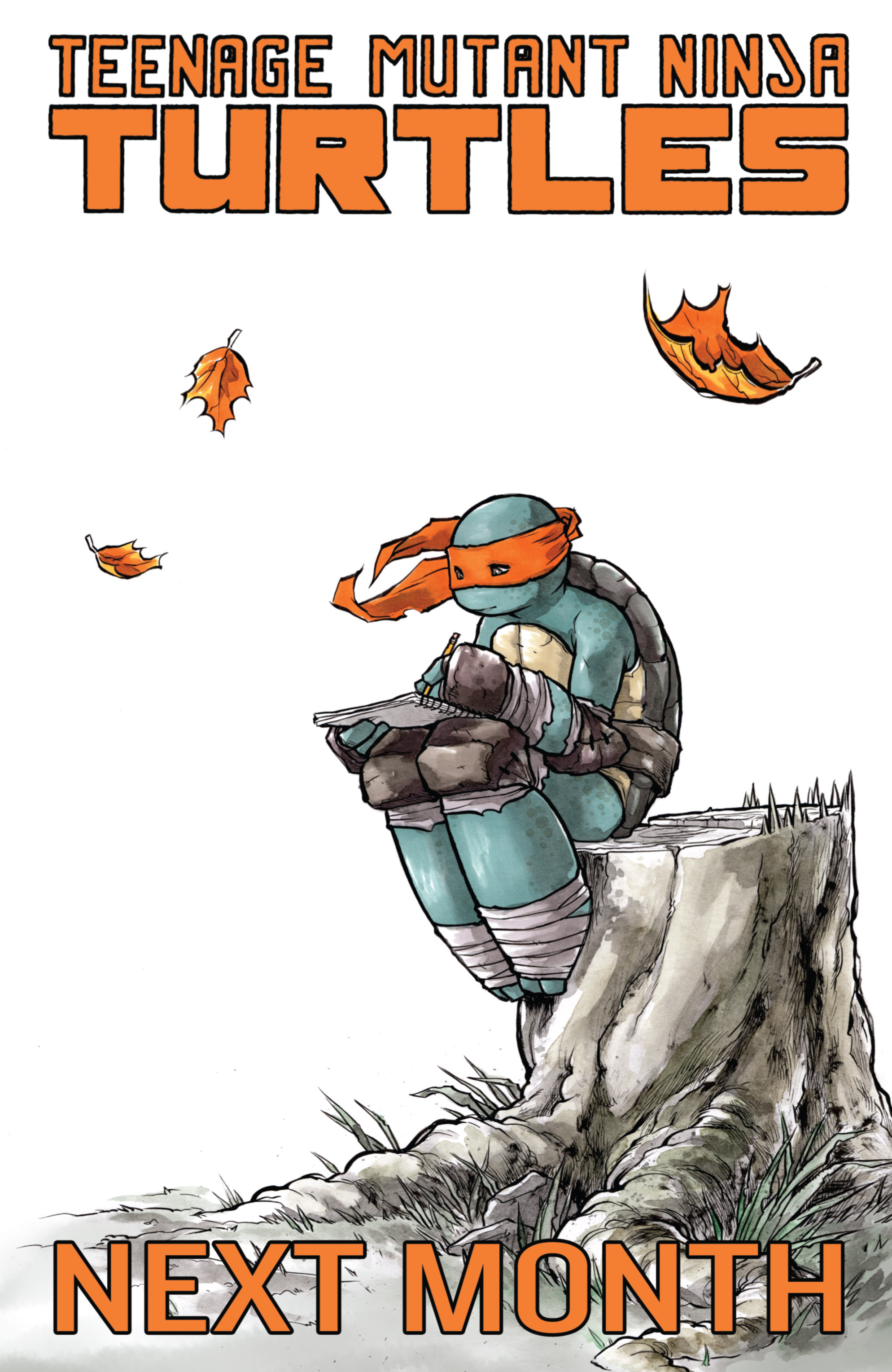 Teenage Mutant Ninja Turtles (2011-): Chapter 29 - Page 27