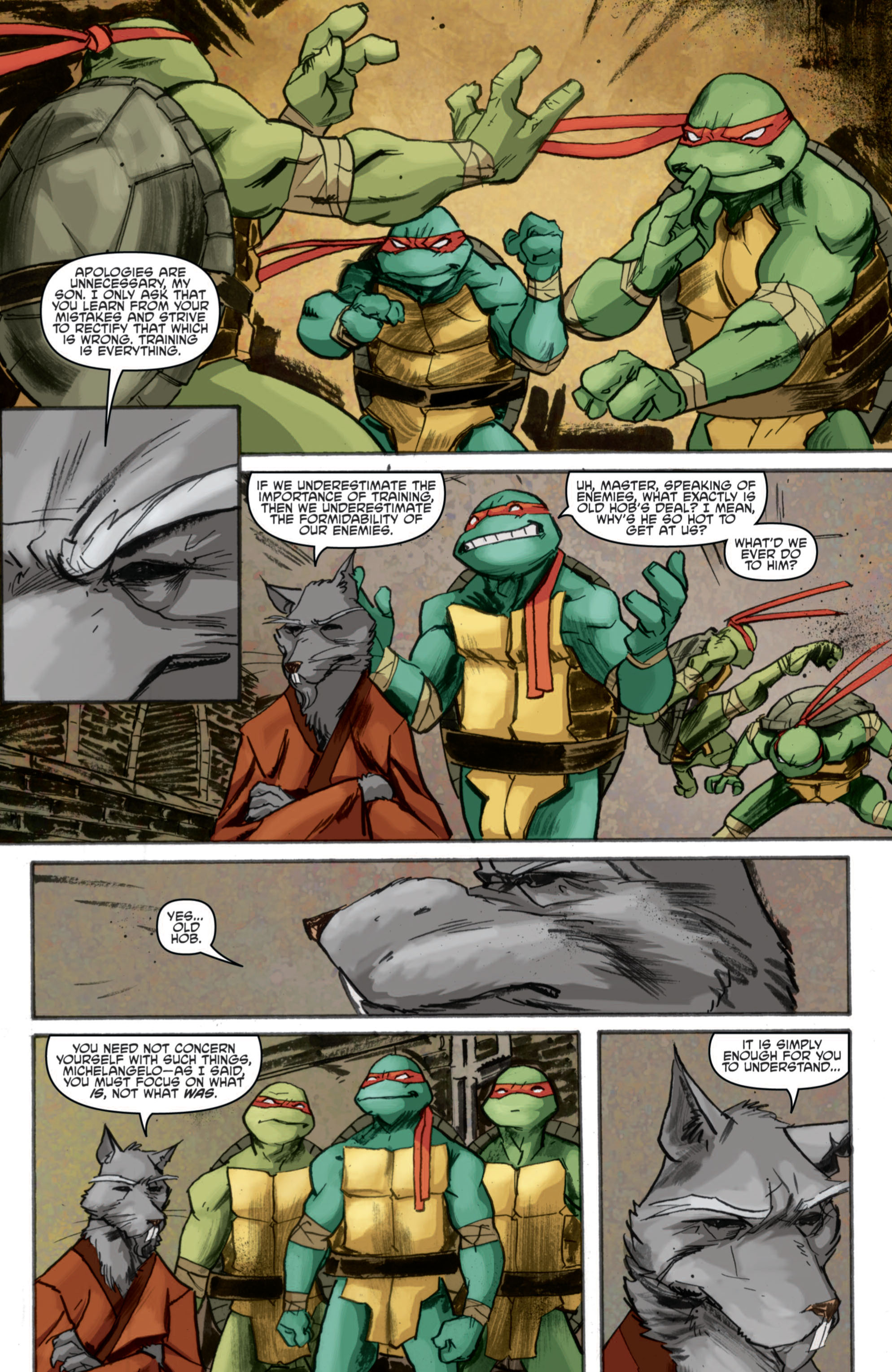 Teenage Mutant Ninja Turtles (2011-): Chapter 3 - Page 15