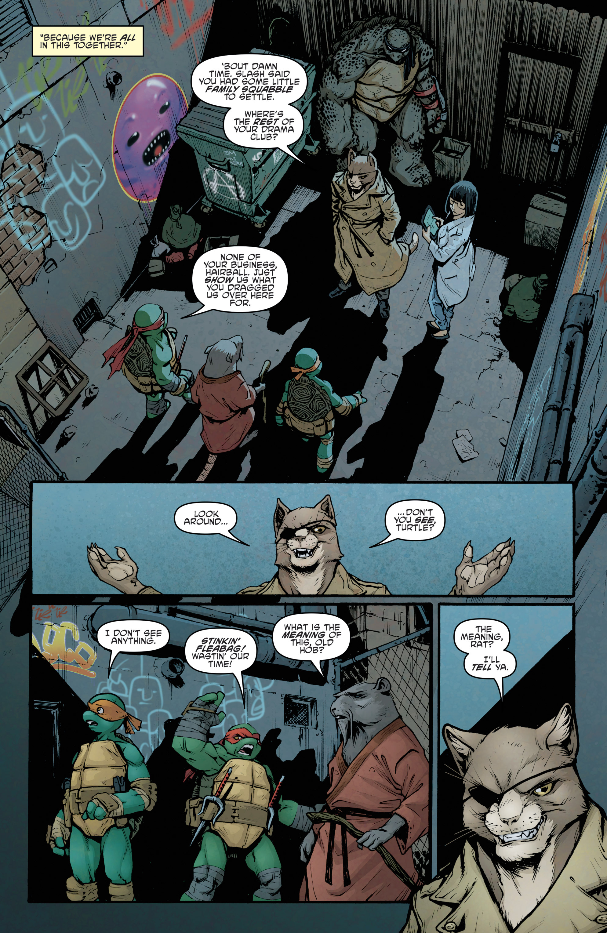 Teenage Mutant Ninja Turtles (2011-) issue 38 - Page 19