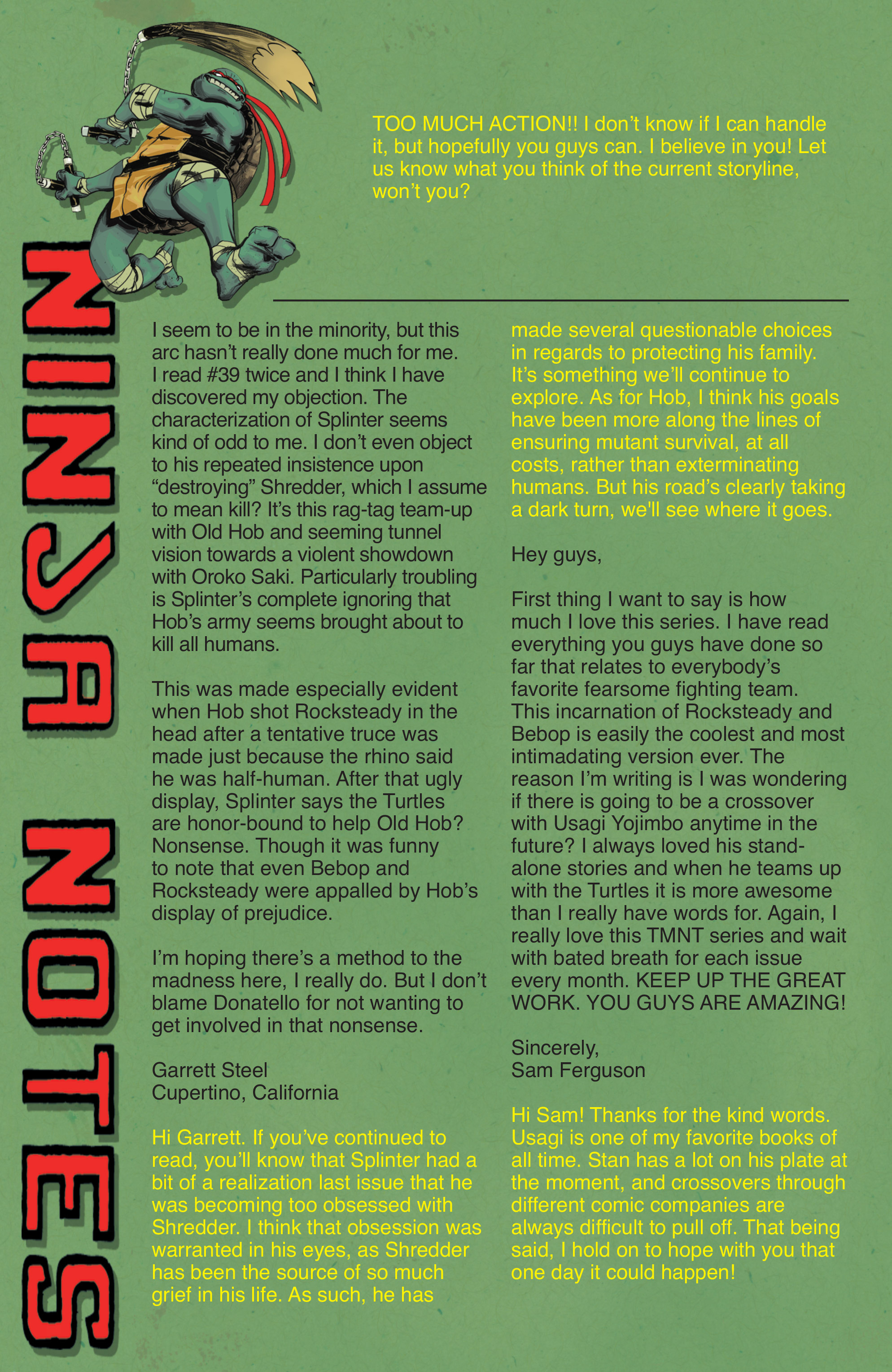 Teenage Mutant Ninja Turtles (2011-): Chapter 43 - Page 27