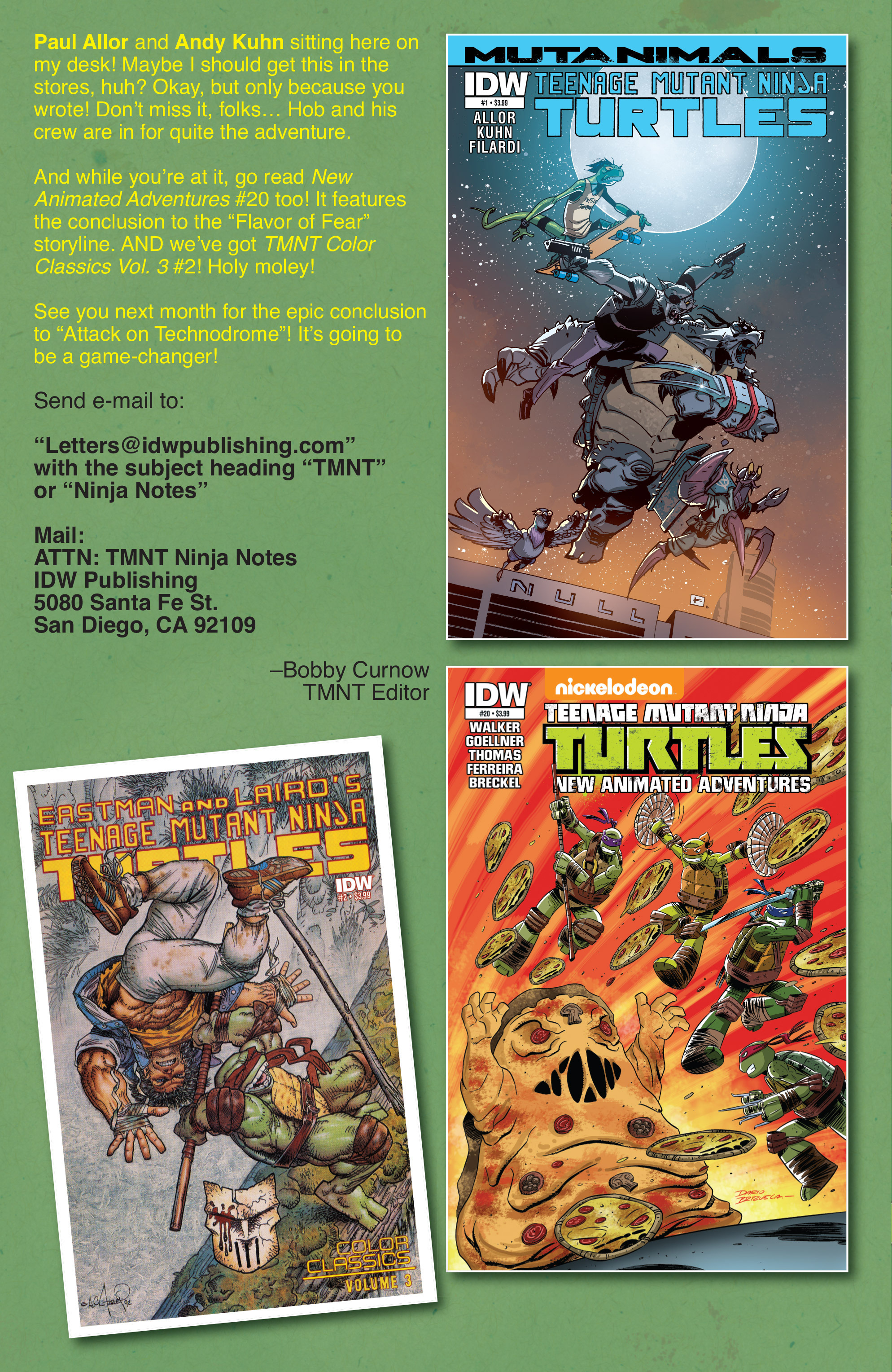 Teenage Mutant Ninja Turtles (2011-): Chapter 43 - Page 29