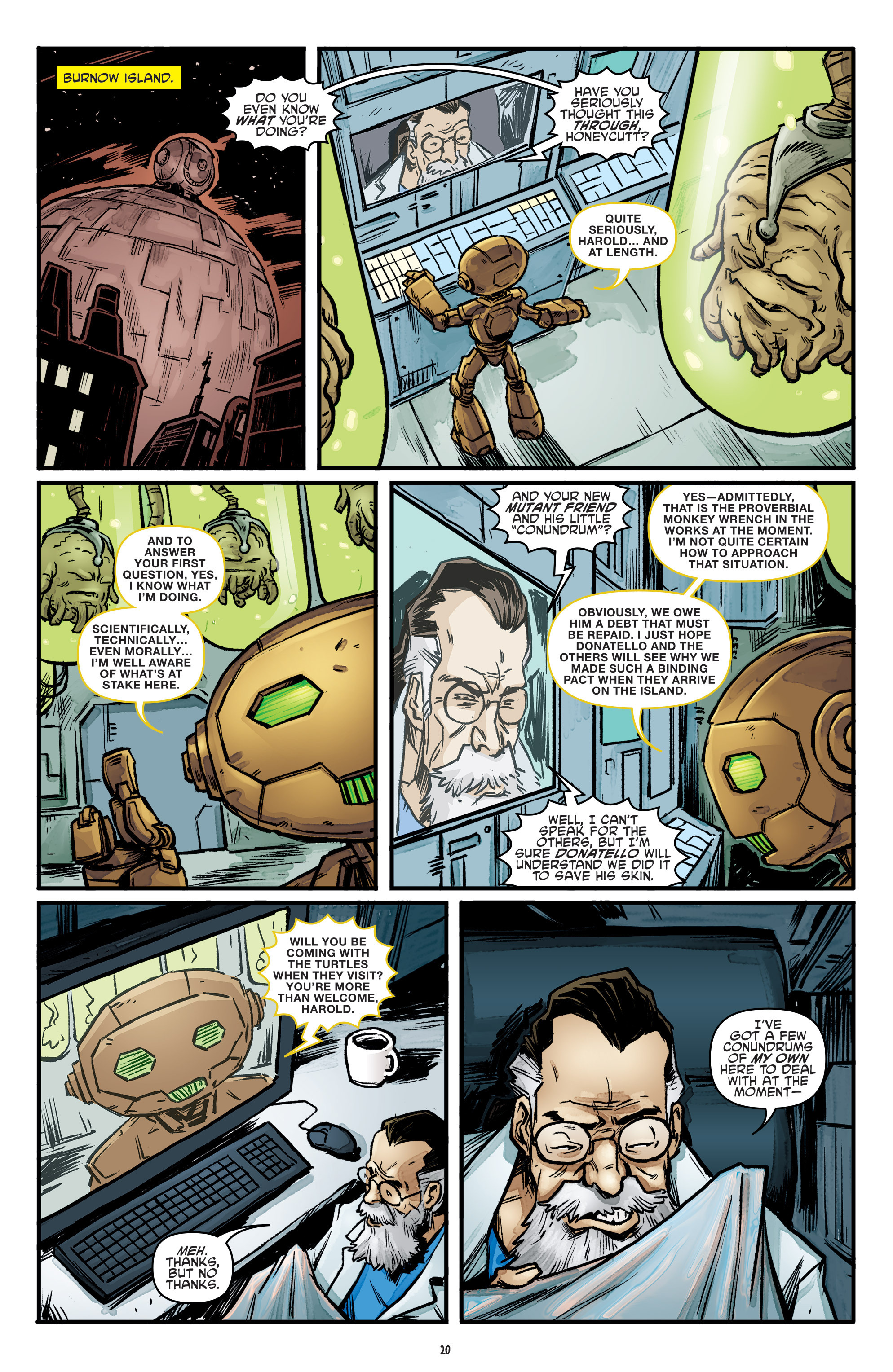 Teenage Mutant Ninja Turtles (2011-) issue 55 - Page 20