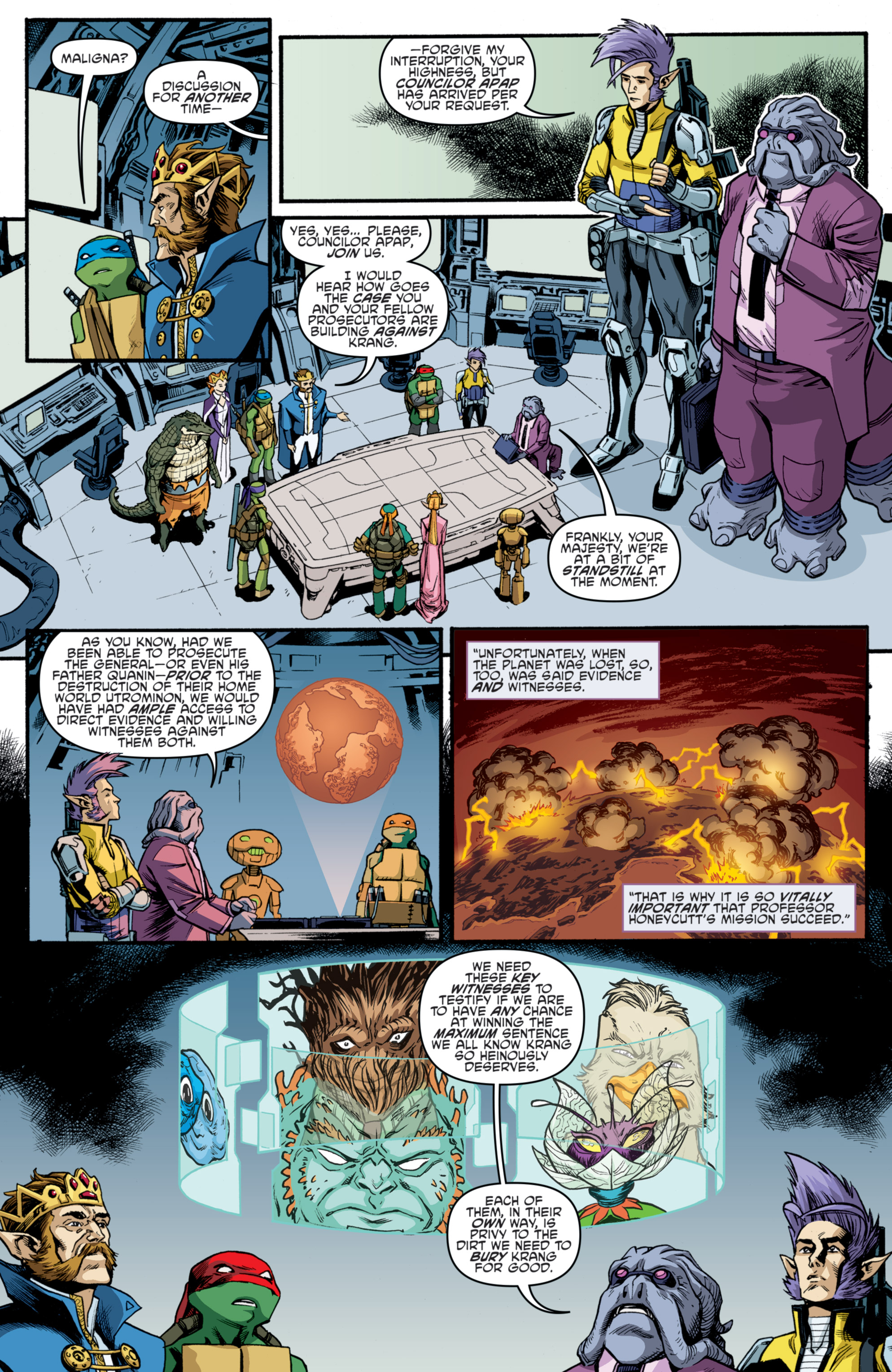 Teenage Mutant Ninja Turtles (2011-) issue 73 - Page 14