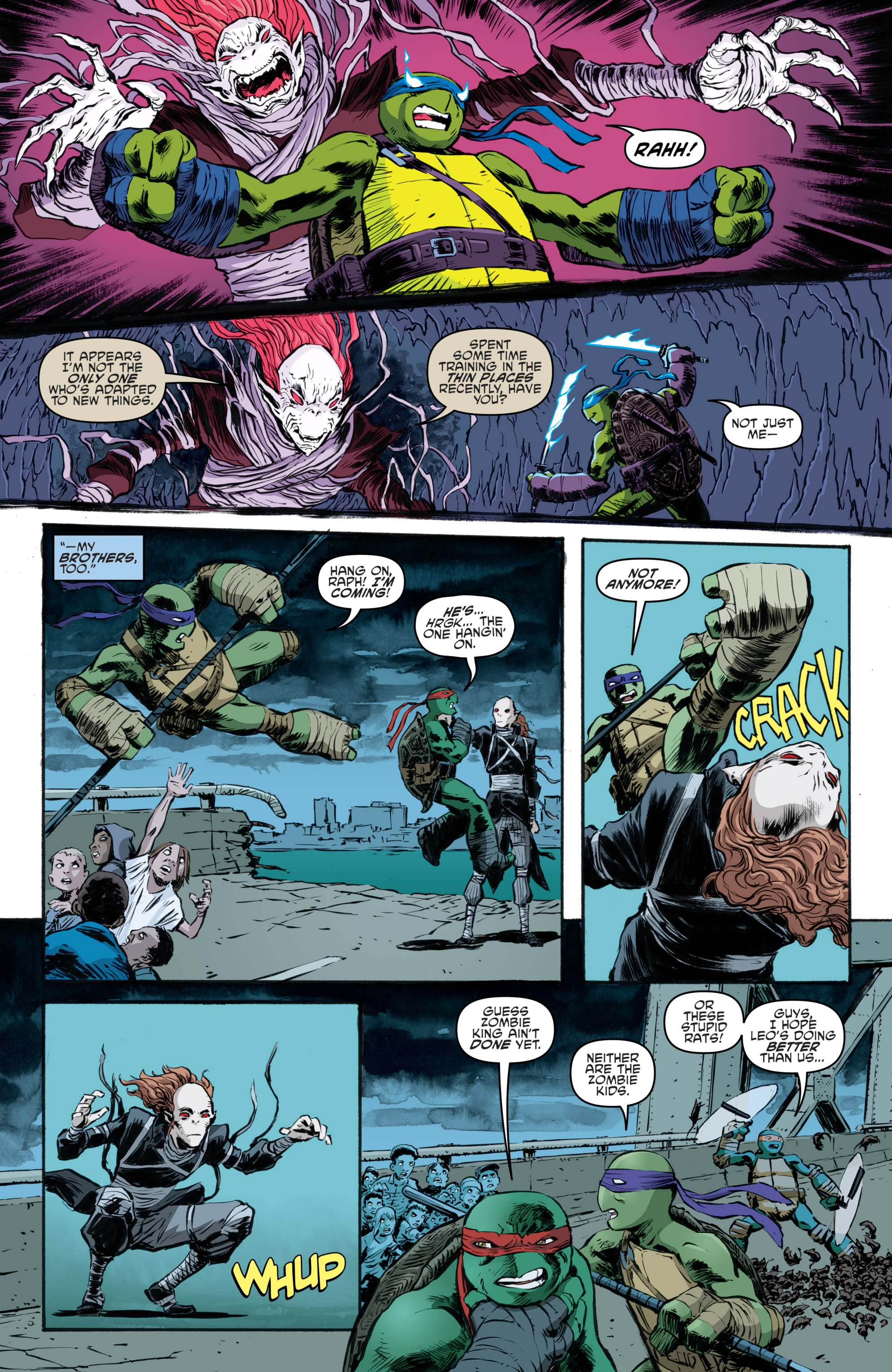 Teenage Mutant Ninja Turtles (2011-) issue 84 - Page 17