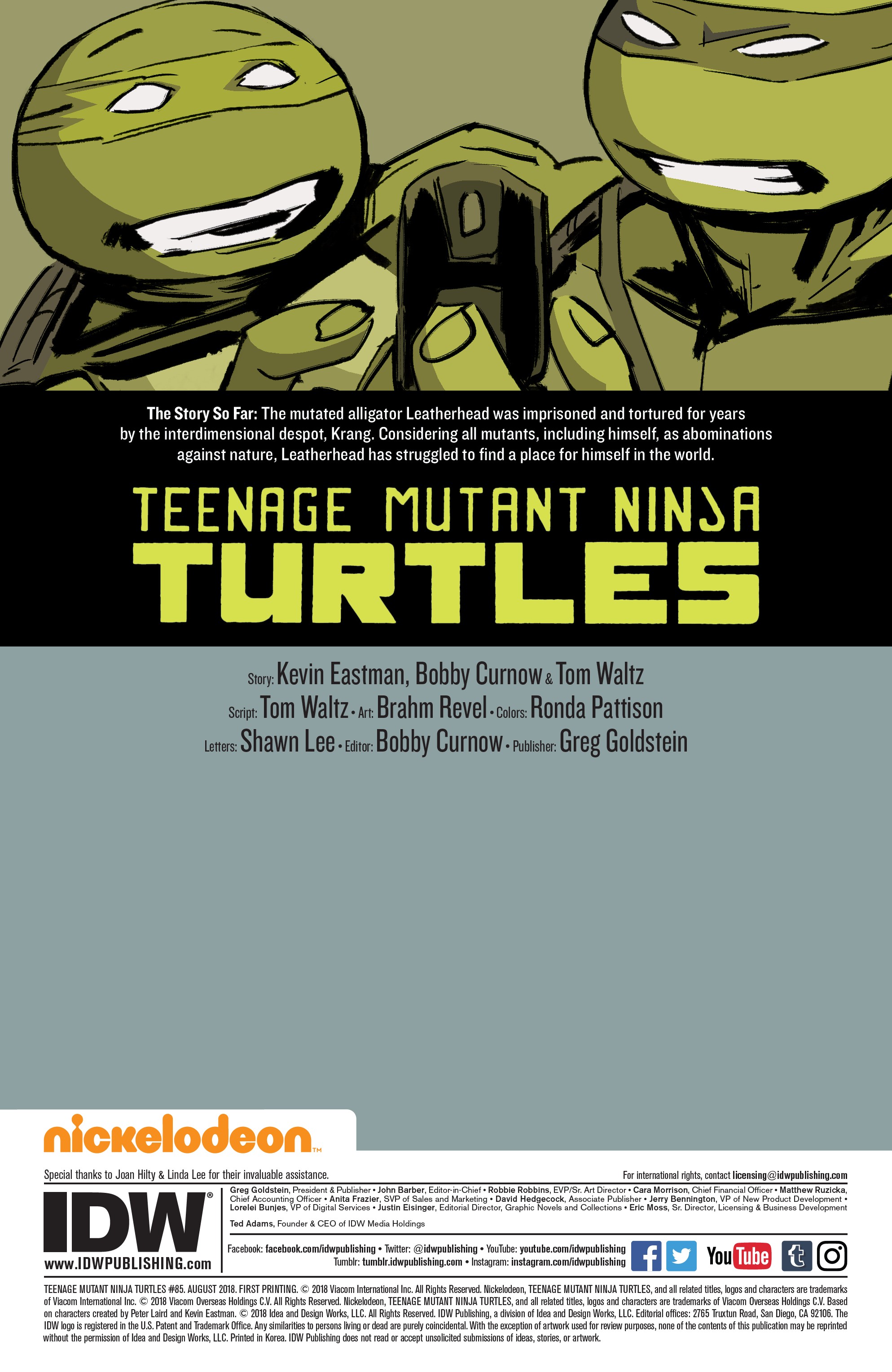 Teenage Mutant Ninja Turtles (2011-): Chapter 85 - Page 2