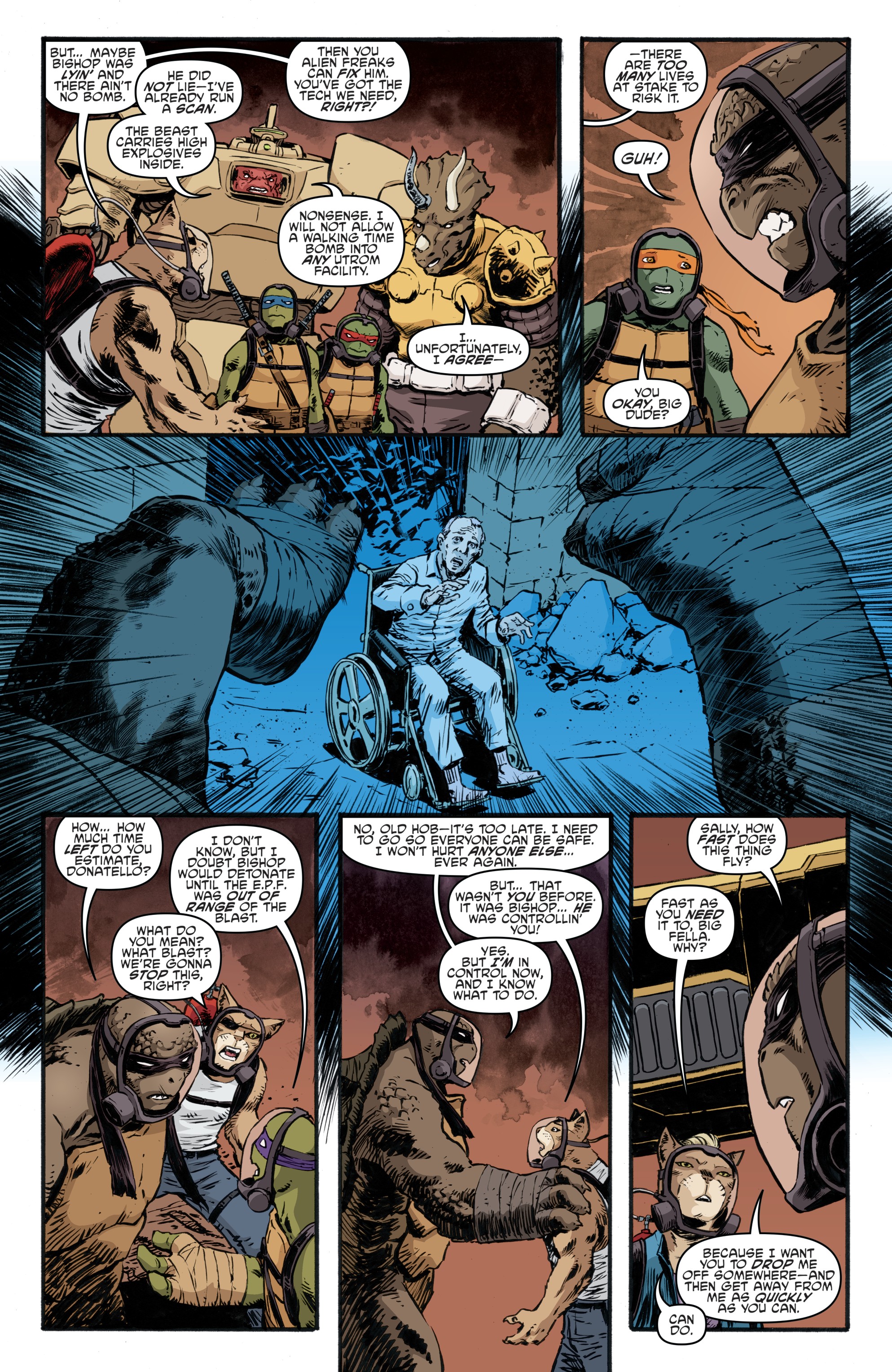 Teenage Mutant Ninja Turtles (2011-) issue 88 - Page 19