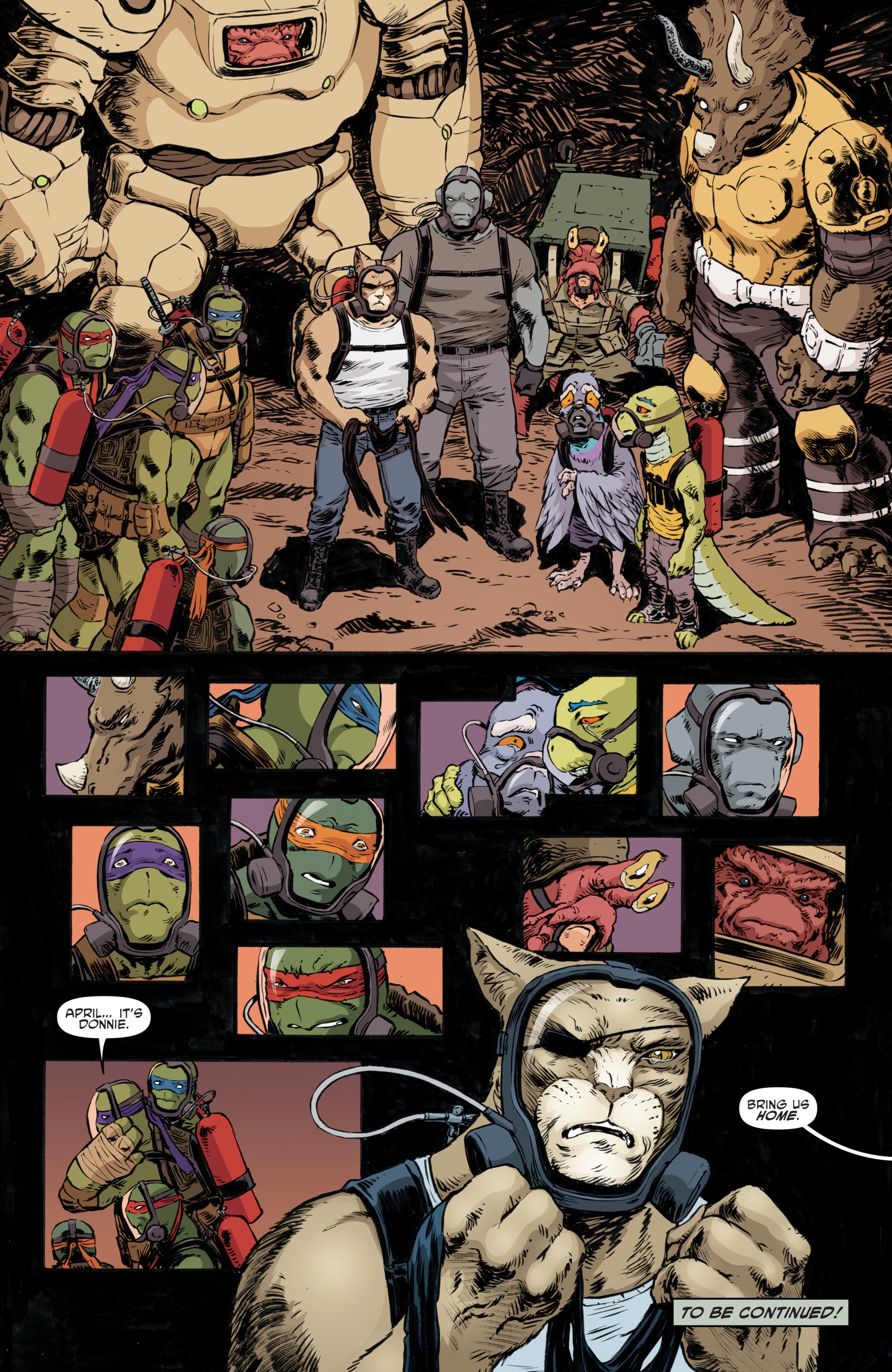 Teenage Mutant Ninja Turtles (2011-) issue 88 - Page 22