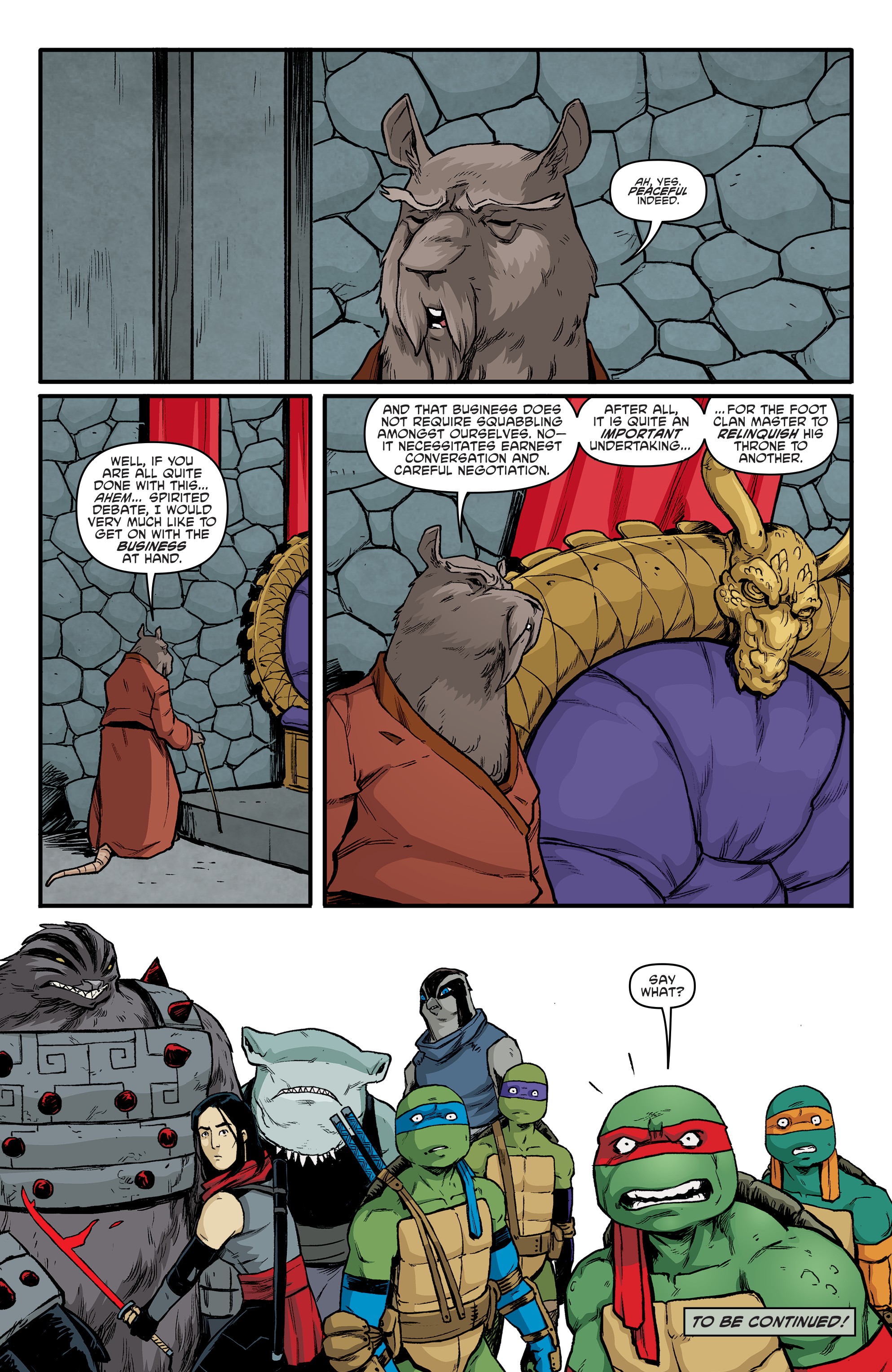 Teenage Mutant Ninja Turtles (2011-) issue 91 - Page 22