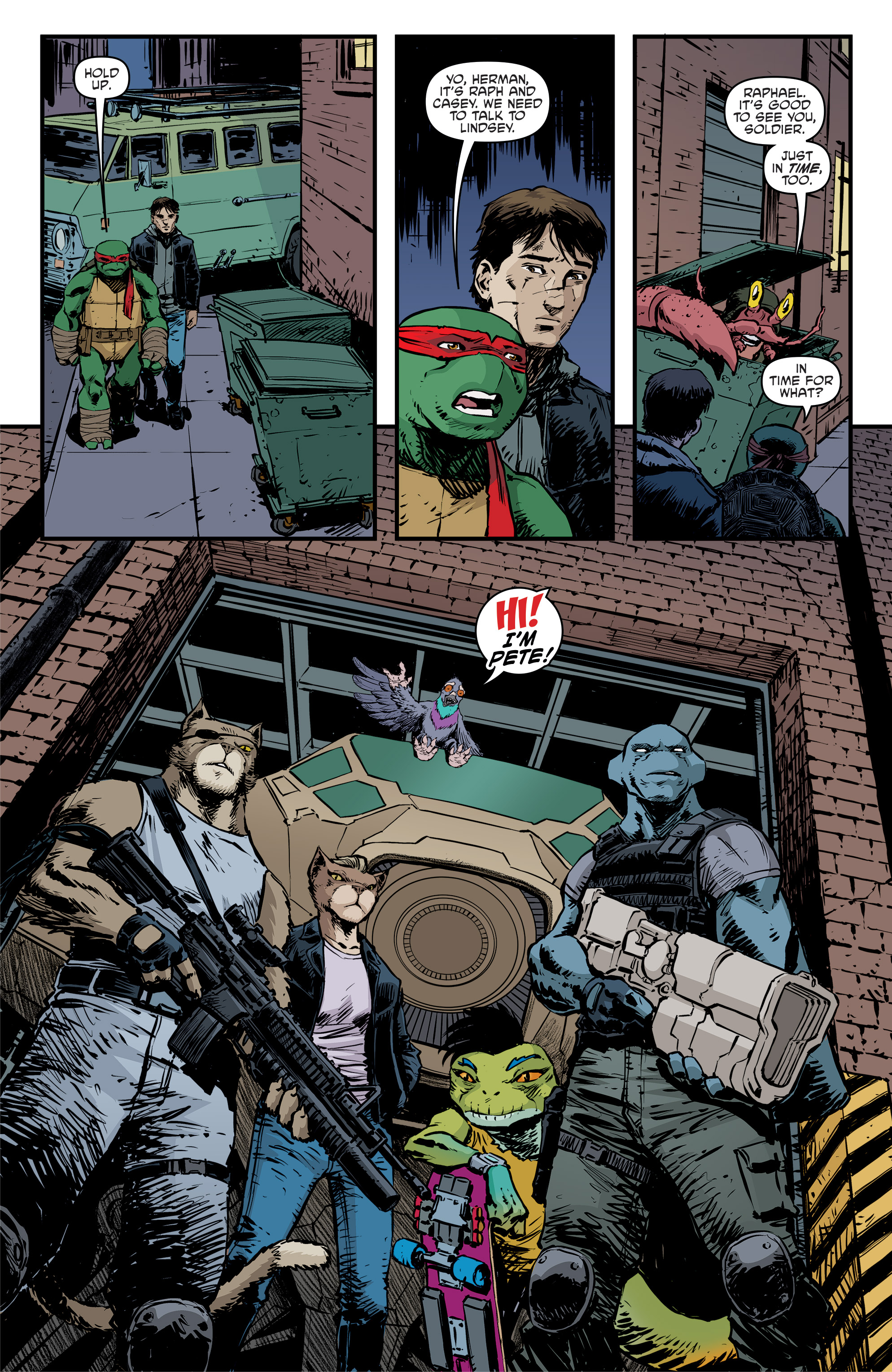 Teenage Mutant Ninja Turtles (2011-) issue 94 - Page 12