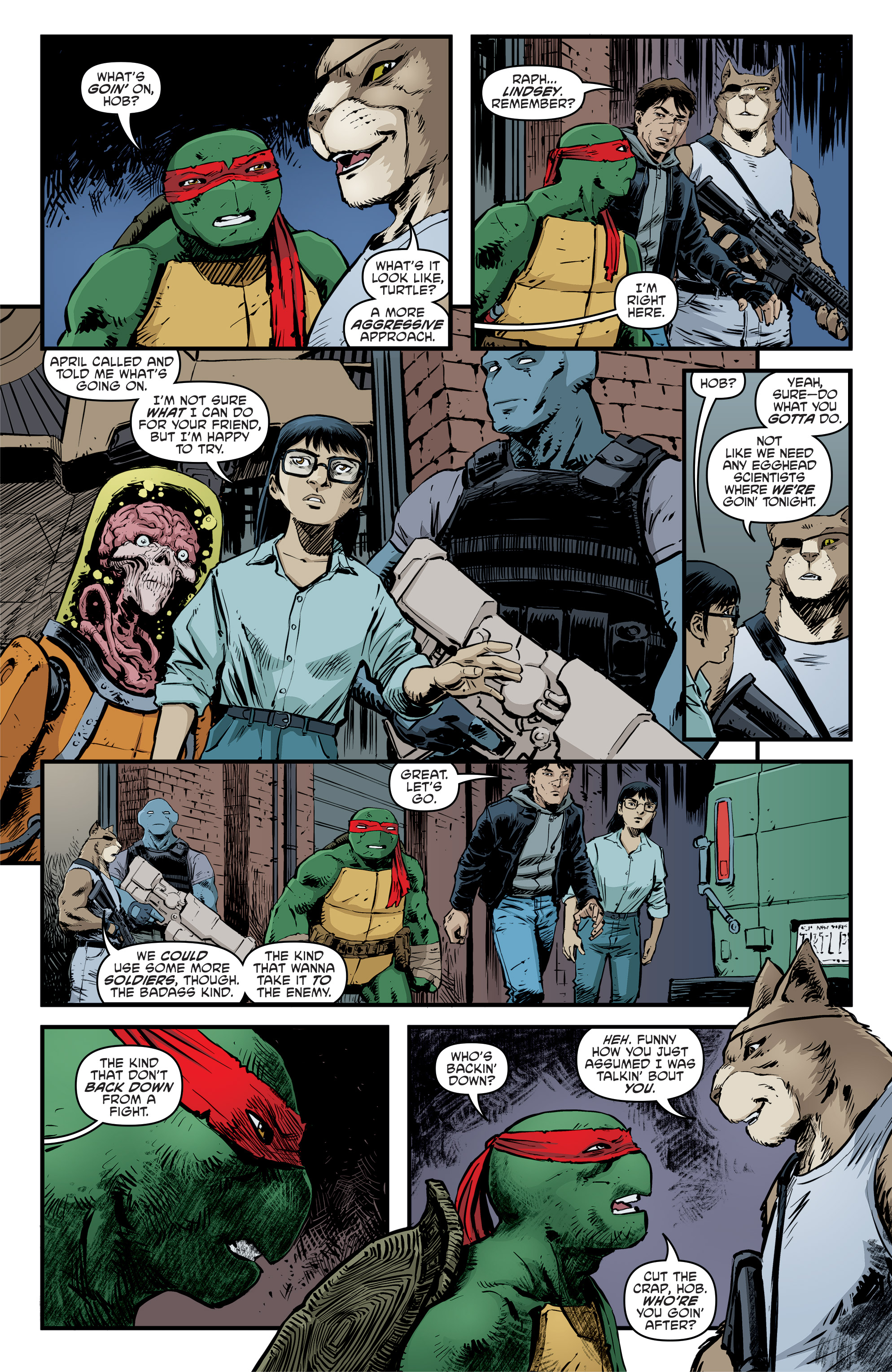 Teenage Mutant Ninja Turtles (2011-) issue 94 - Page 13