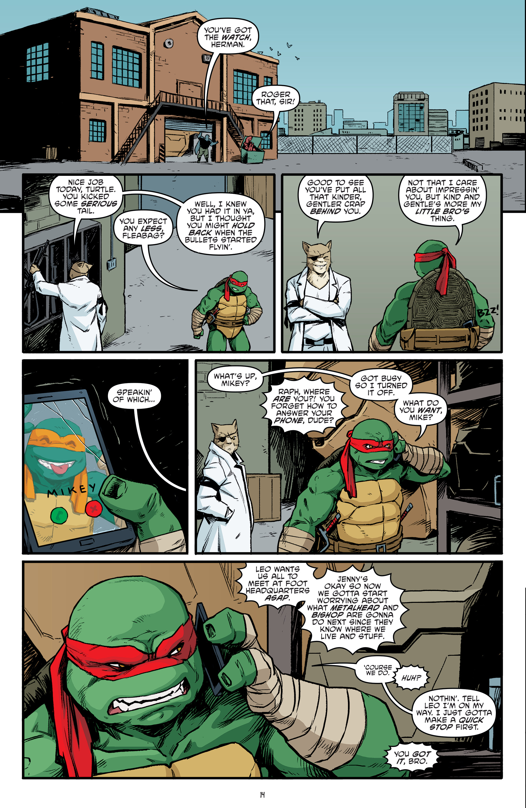 Teenage Mutant Ninja Turtles (2011-) issue 96 - Page 16