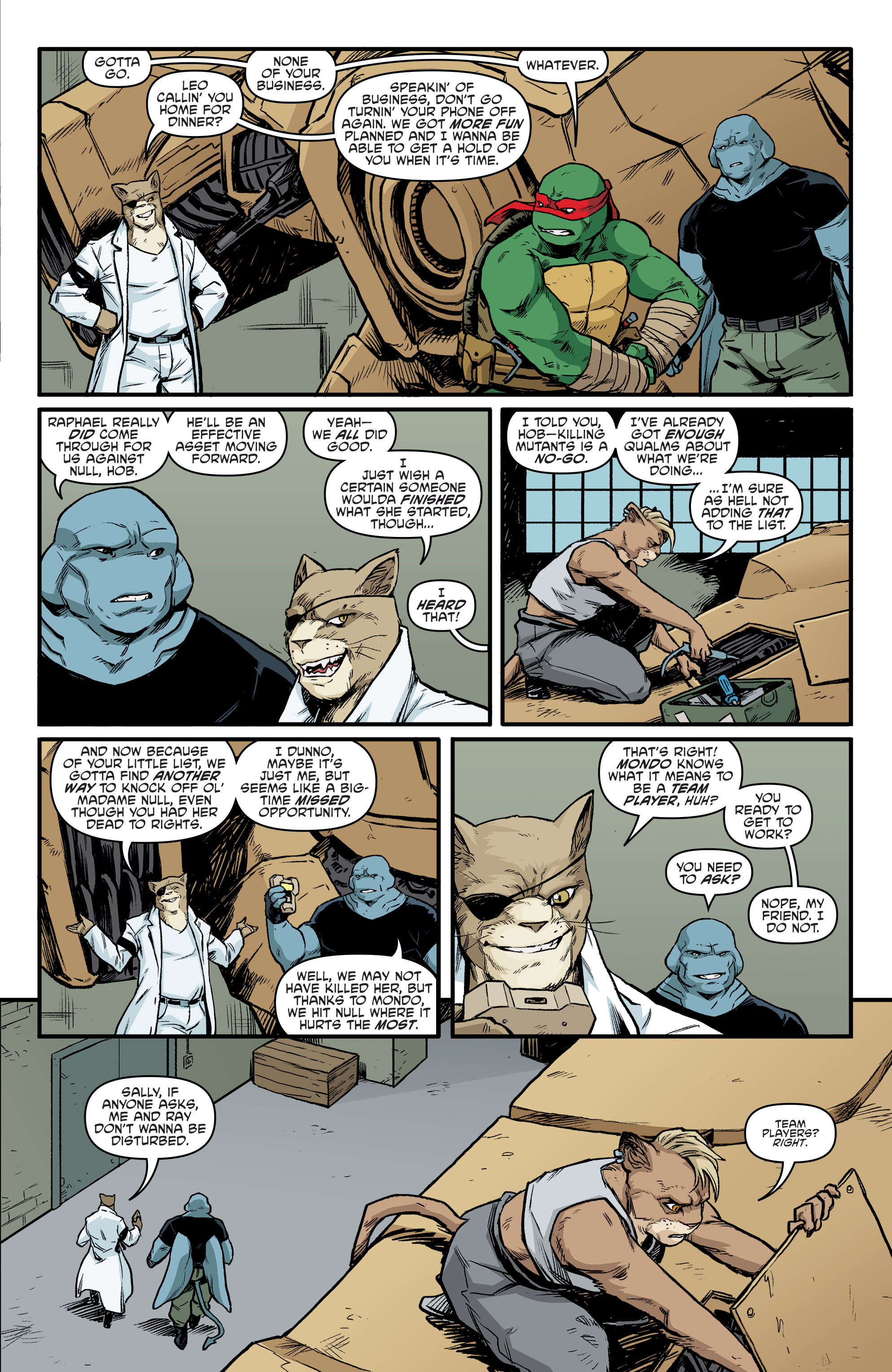 Teenage Mutant Ninja Turtles (2011-) issue 96 - Page 17