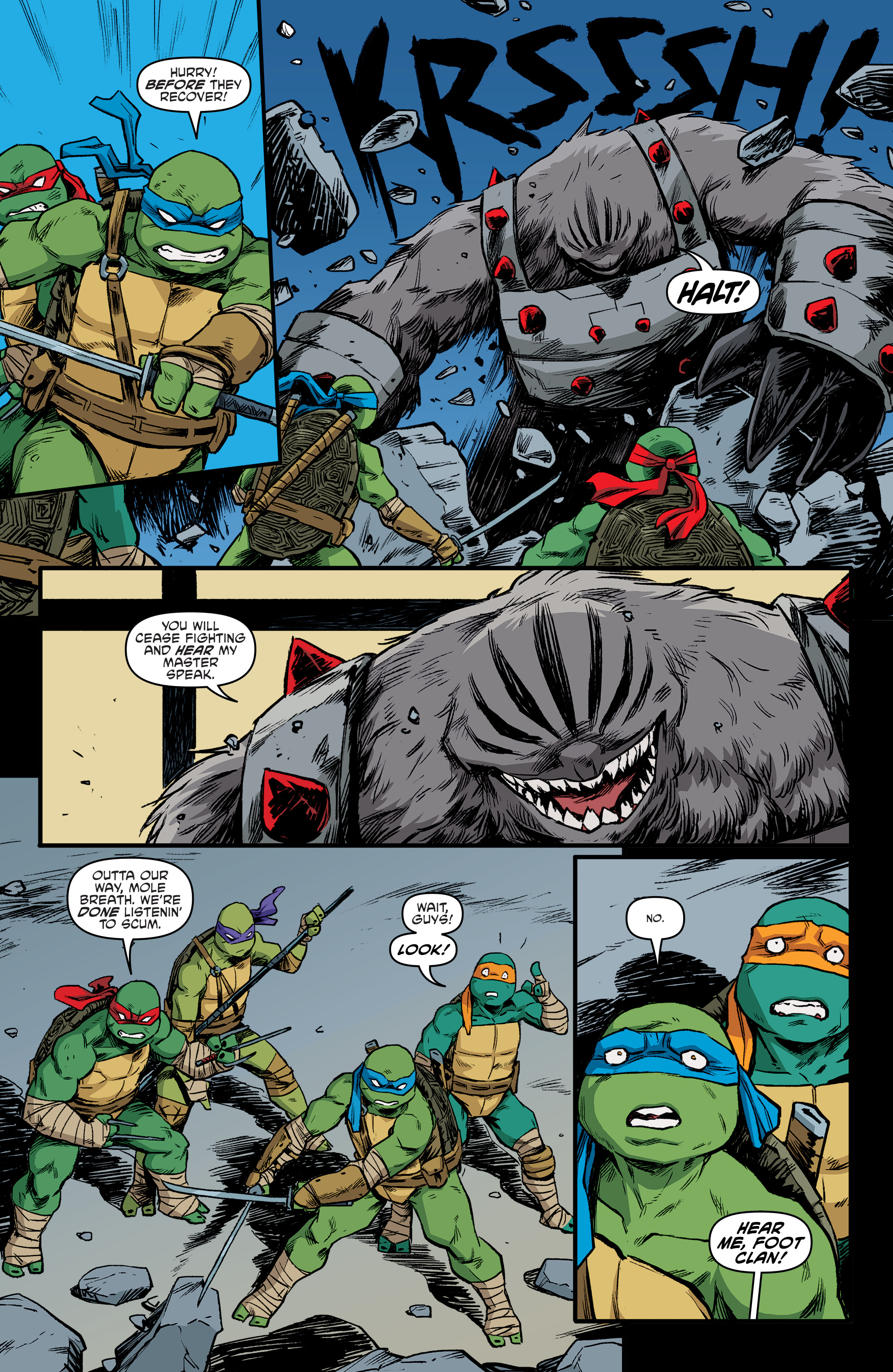 Teenage Mutant Ninja Turtles (2011-) issue 97 - Page 23