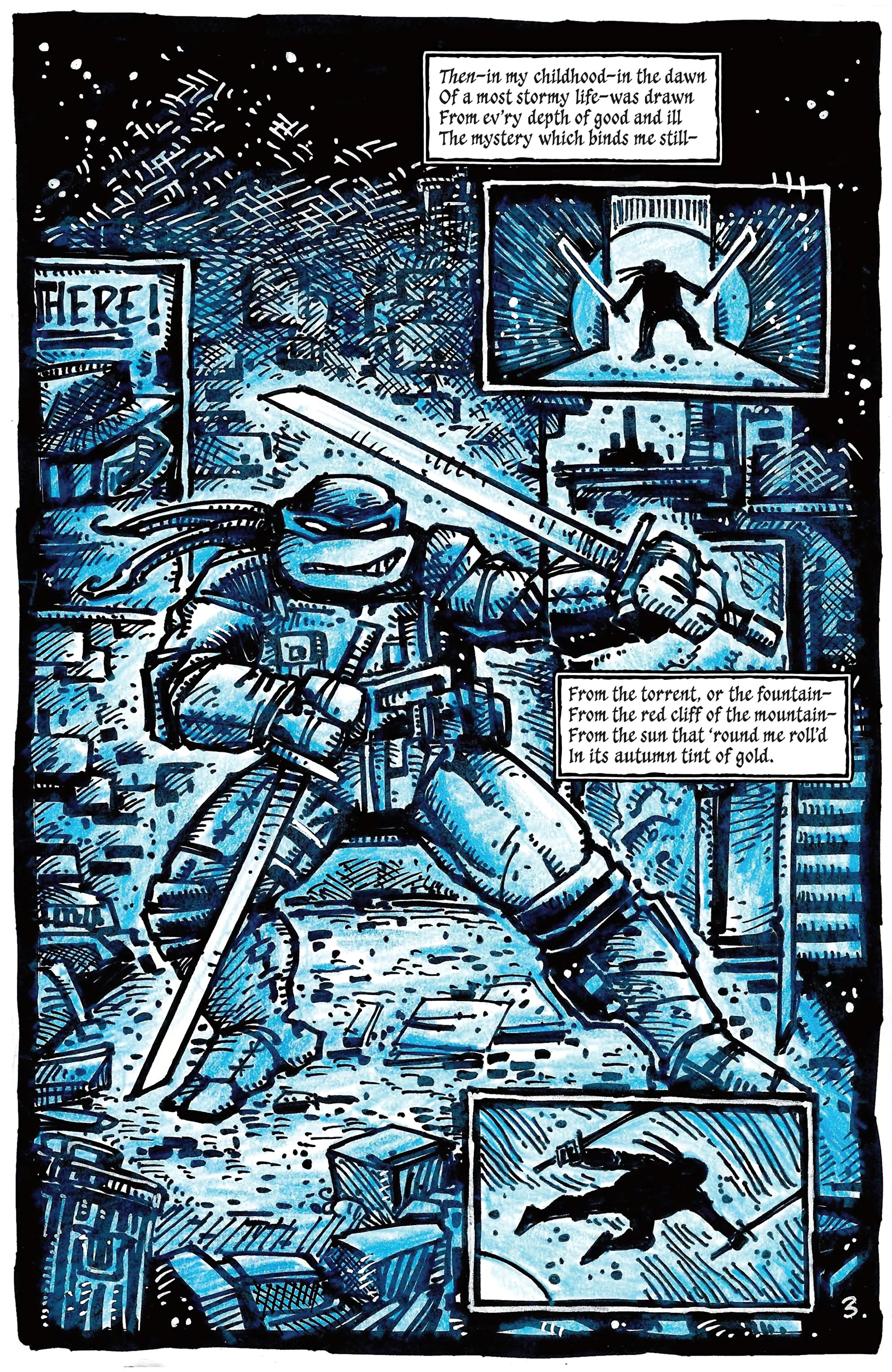 Teenage Mutant Ninja Turtles: 40th Anniversary Comics Celebration (2024-) issue 1 - Page 5