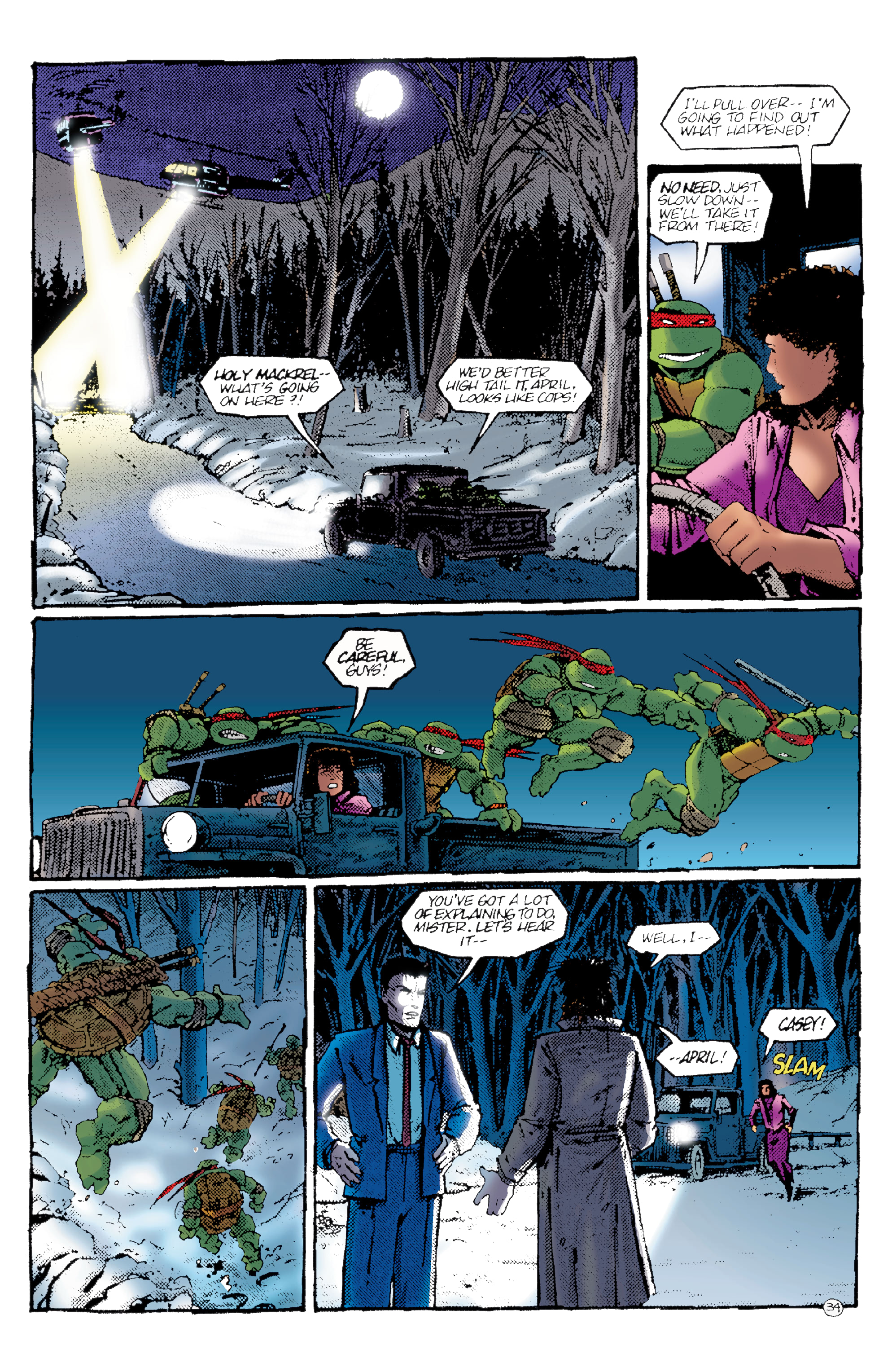 Teenage Mutant Ninja Turtles: Best of Casey Jones (2021) issue 1 - Page 37