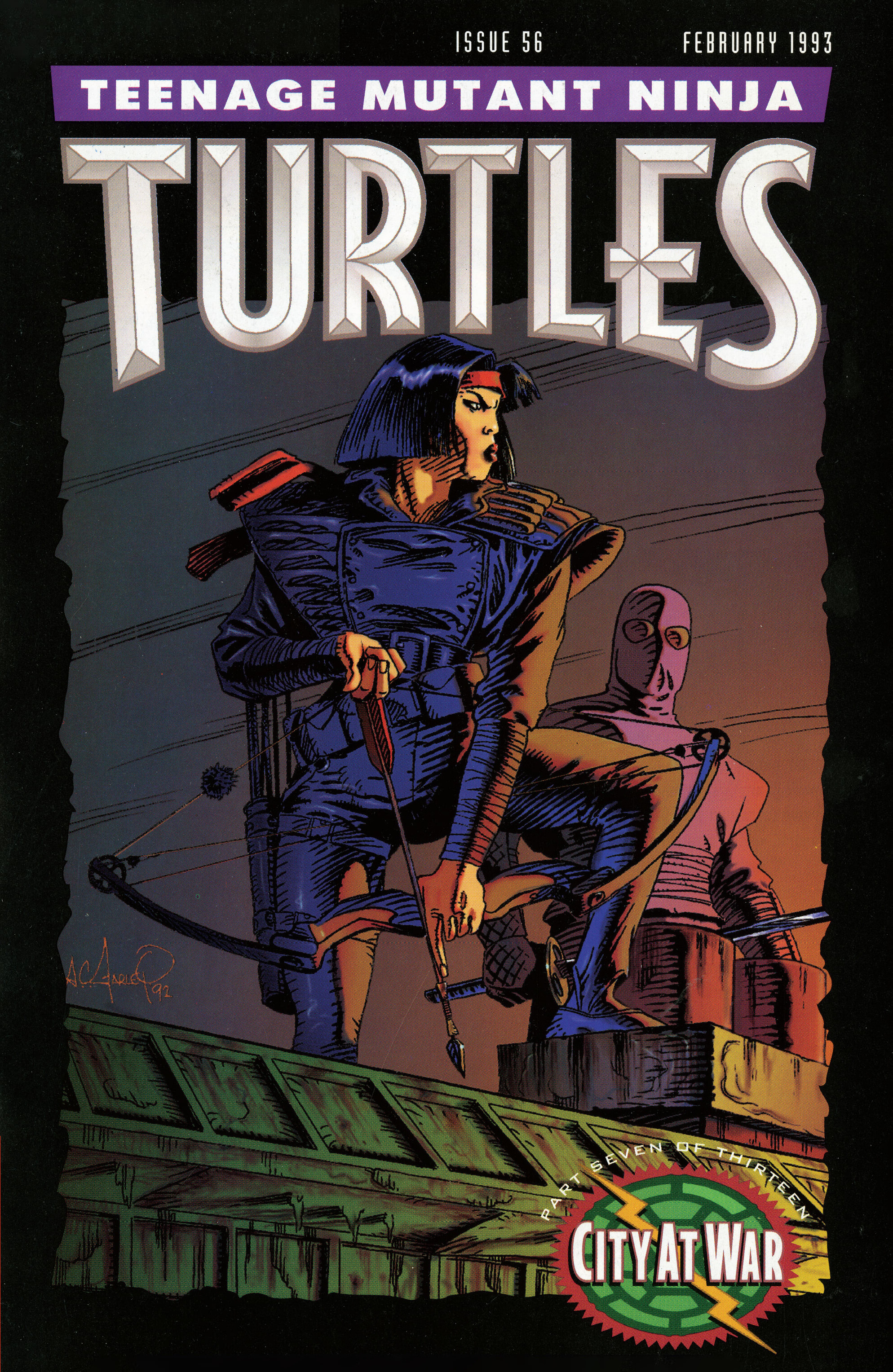 Teenage Mutant Ninja Turtles: Best of Karai (2023) issue 1 - Page 3