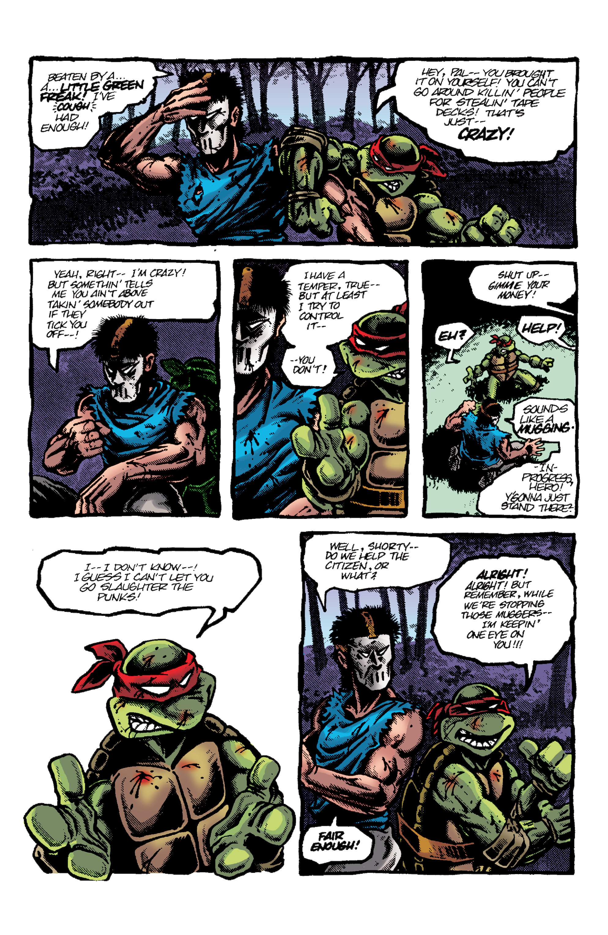 Teenage Mutant Ninja Turtles: Best of Raphael (2020) issue 1 - Page 27