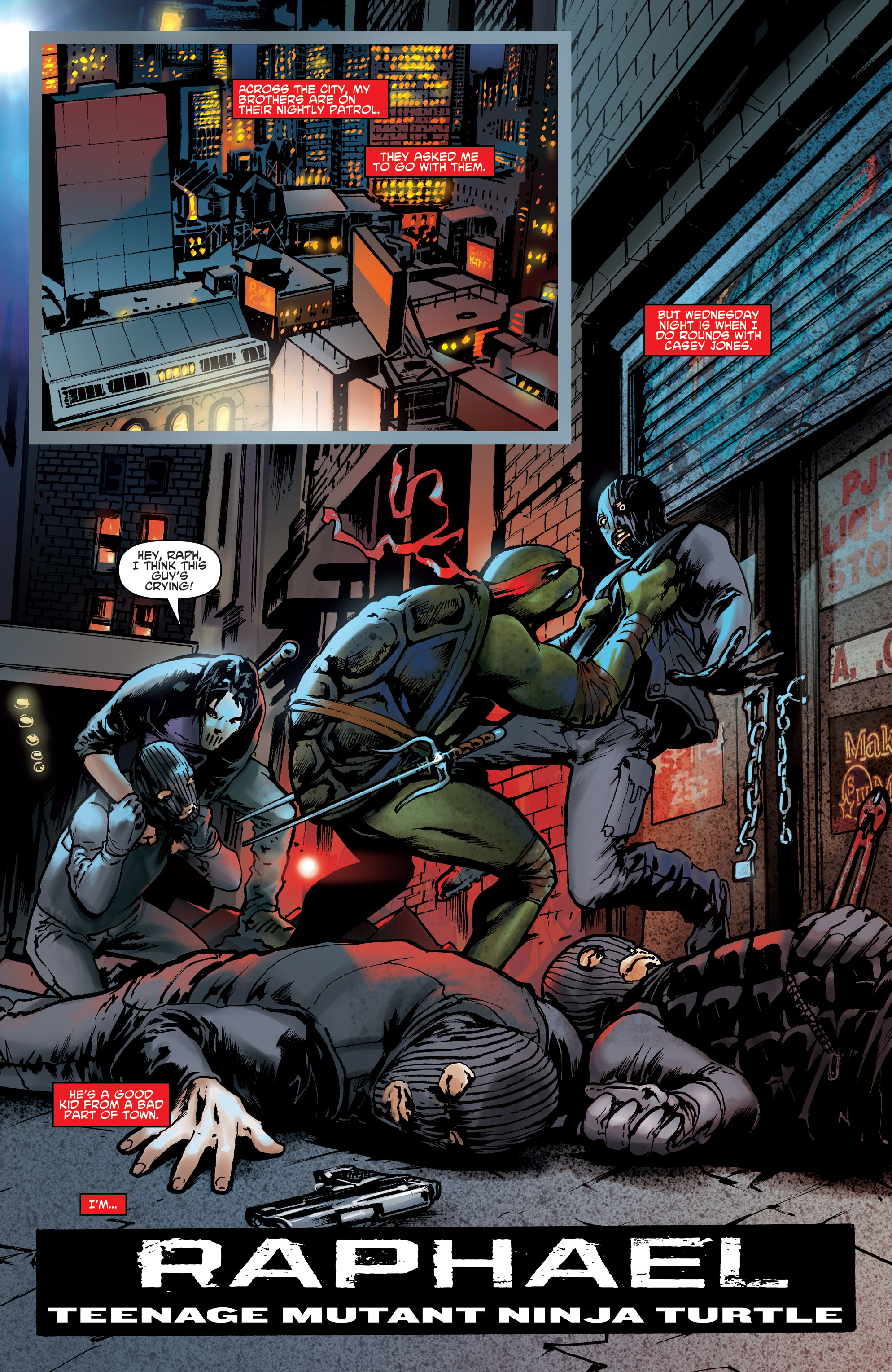 Teenage Mutant Ninja Turtles: Best of Raphael (2020) issue 1 - Page 29