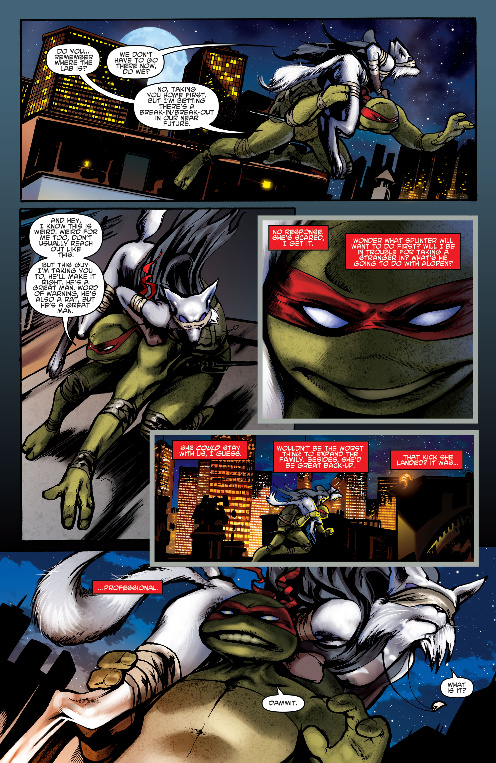 Teenage Mutant Ninja Turtles: Best of Raphael (2020) issue 1 - Page 41