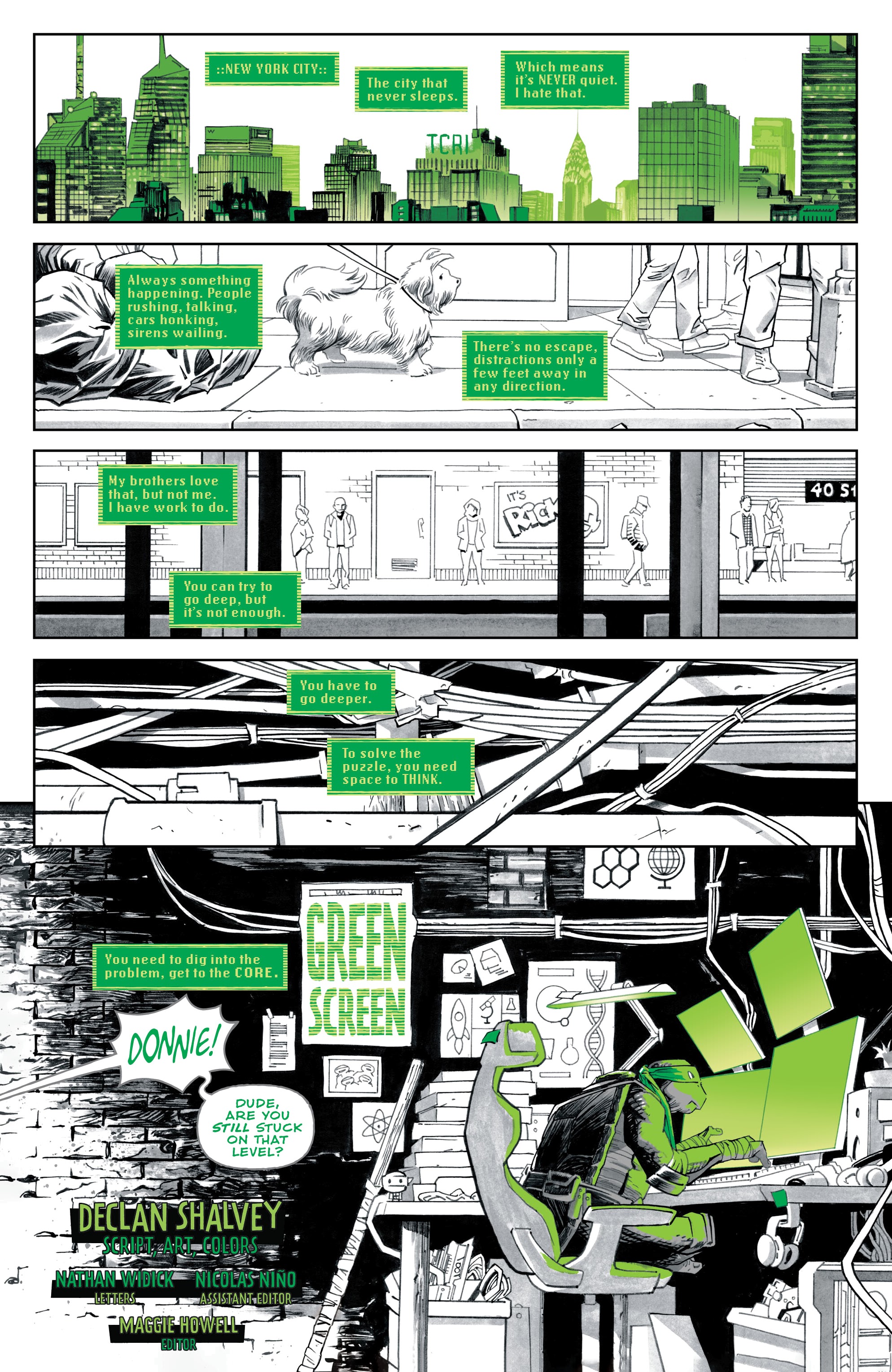 Teenage Mutant Ninja Turtles: Black, White, & Green (2024-) issue 1 - Page 3