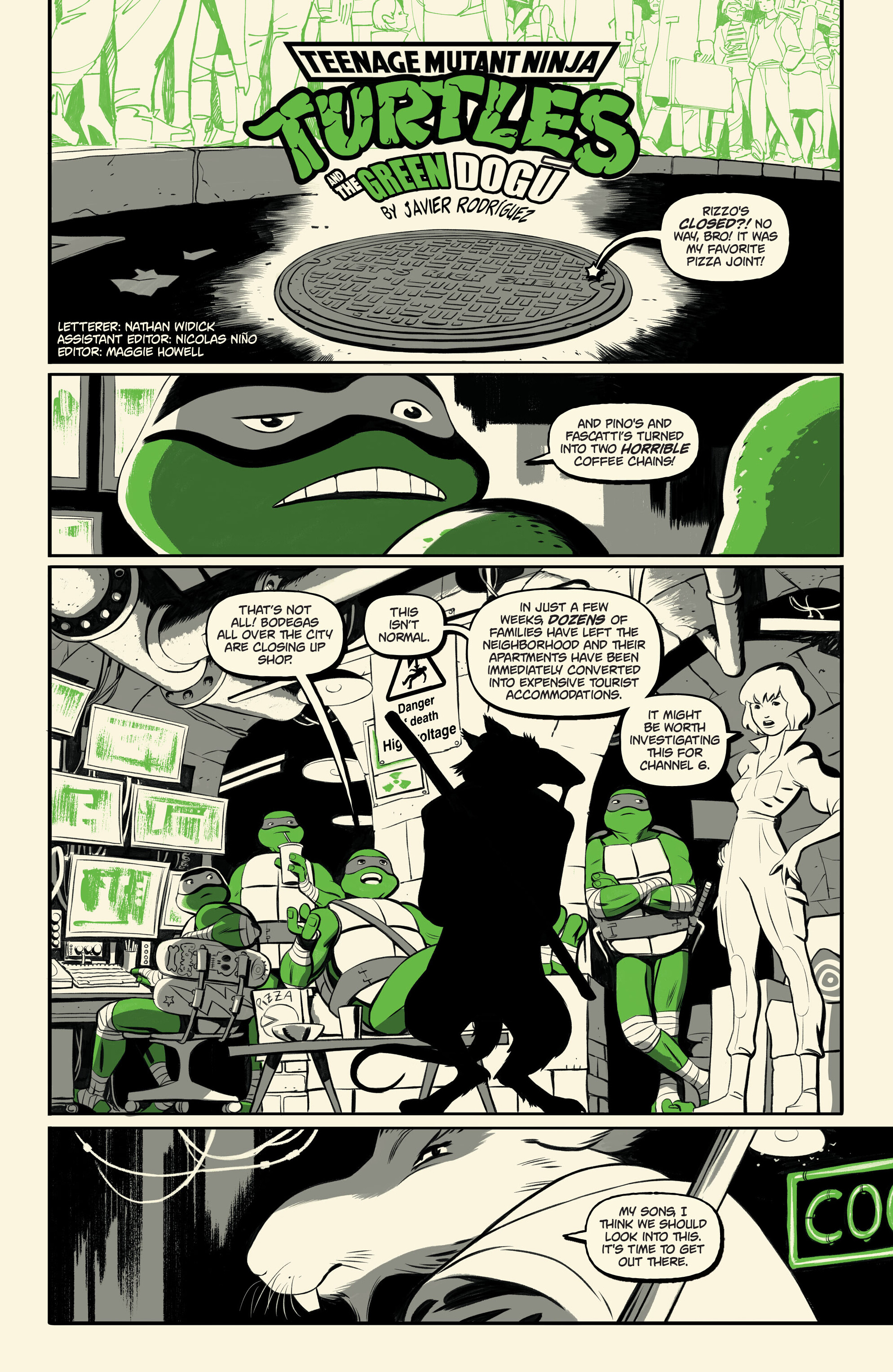 Teenage Mutant Ninja Turtles: Black, White, & Green (2024-) issue 2 - Page 19