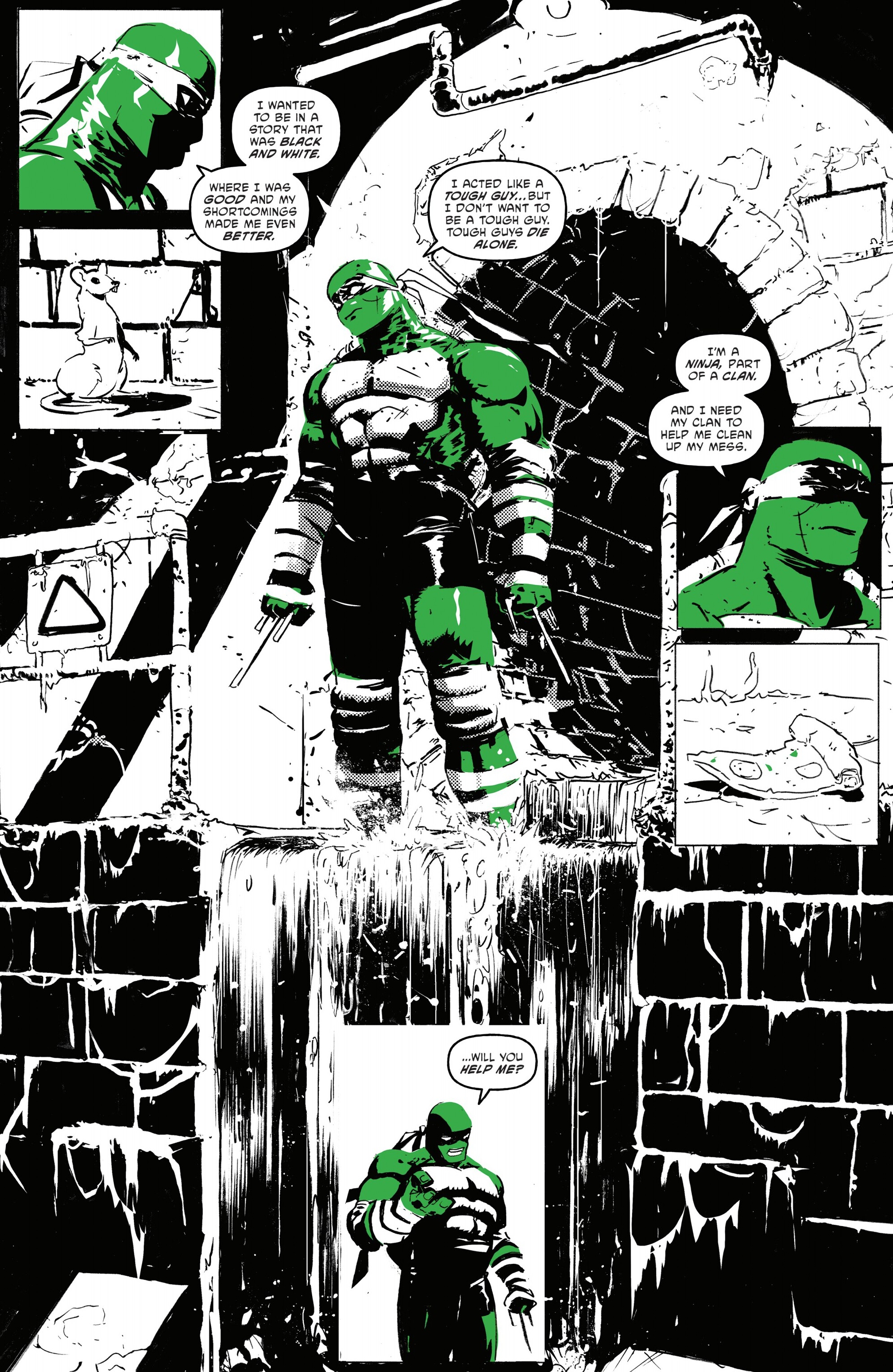 Teenage Mutant Ninja Turtles: Black, White, & Green (2024-) issue 3 - Page 17