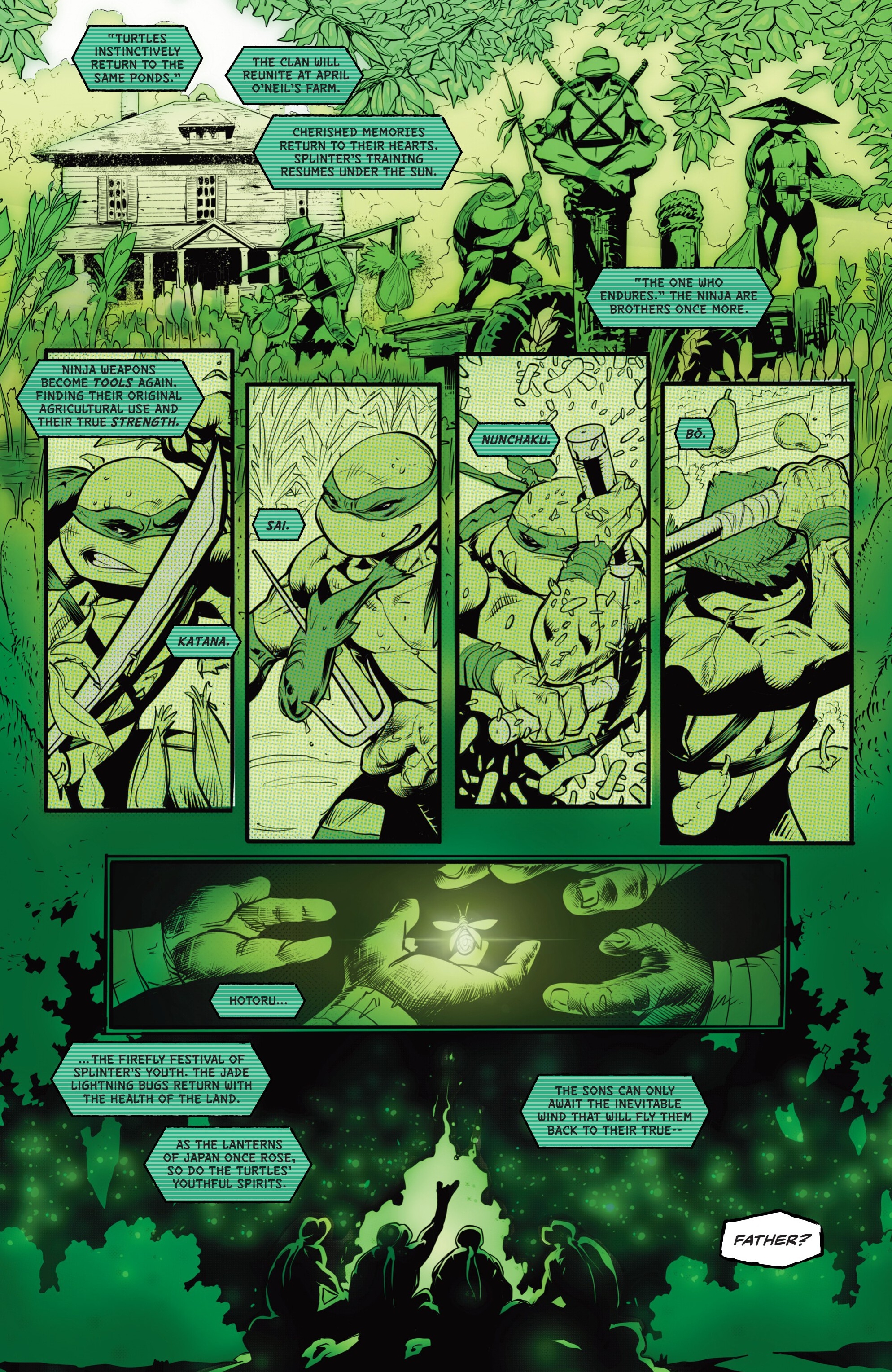 Teenage Mutant Ninja Turtles: Black, White, & Green (2024-): Chapter 4 - Page 29