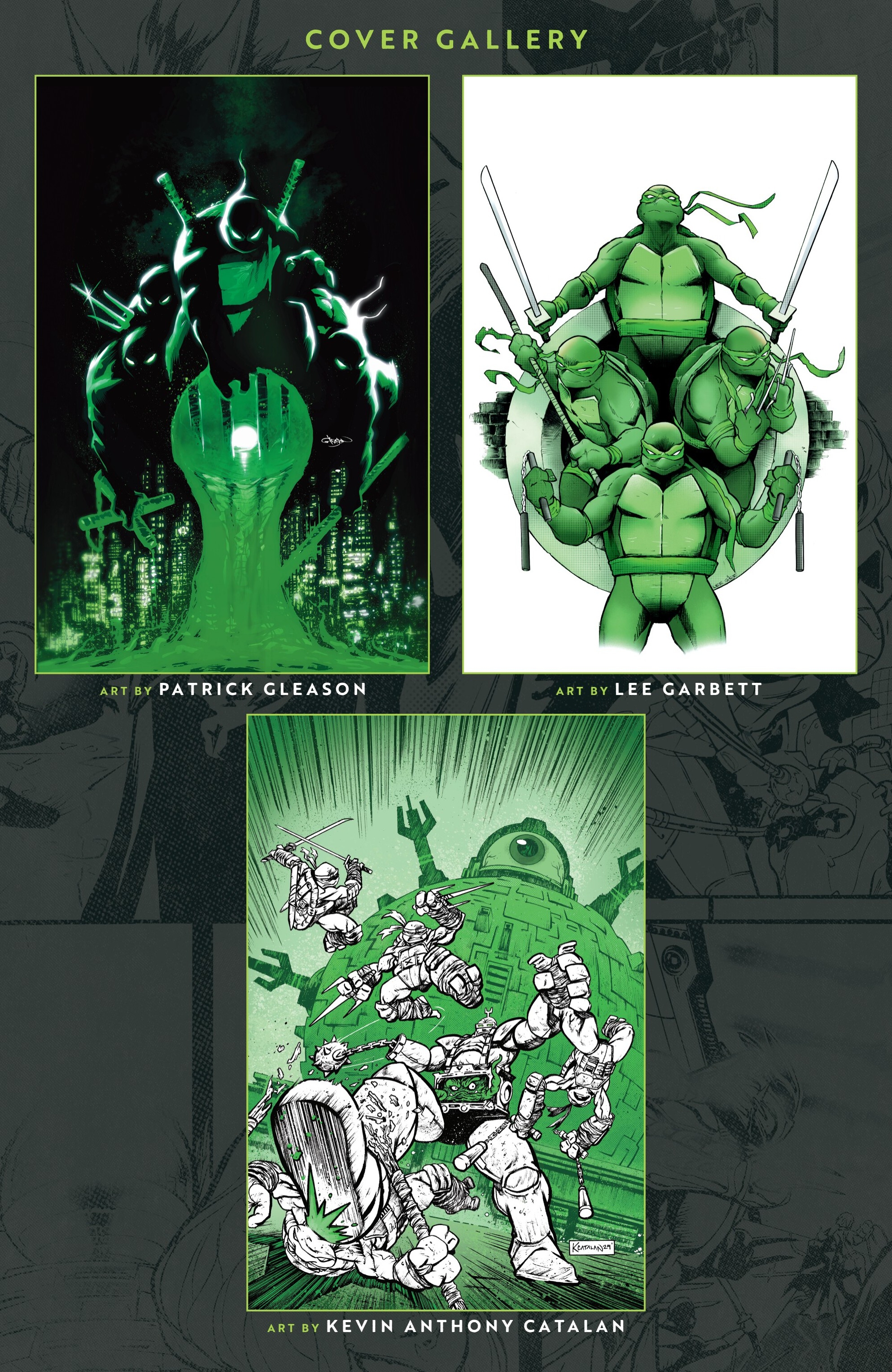 Teenage Mutant Ninja Turtles: Black, White, & Green (2024-): Chapter 4 - Page 34