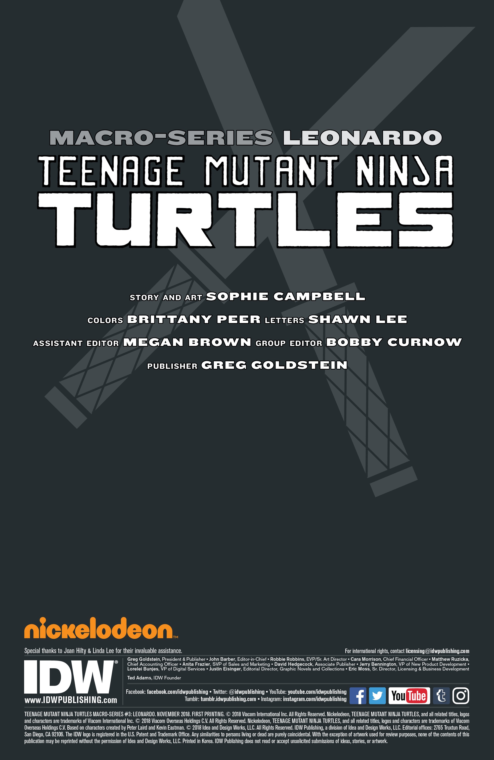 Teenage Mutant Ninja Turtles: Macro-Series (2018-): Chapter Leonardo - Page 2