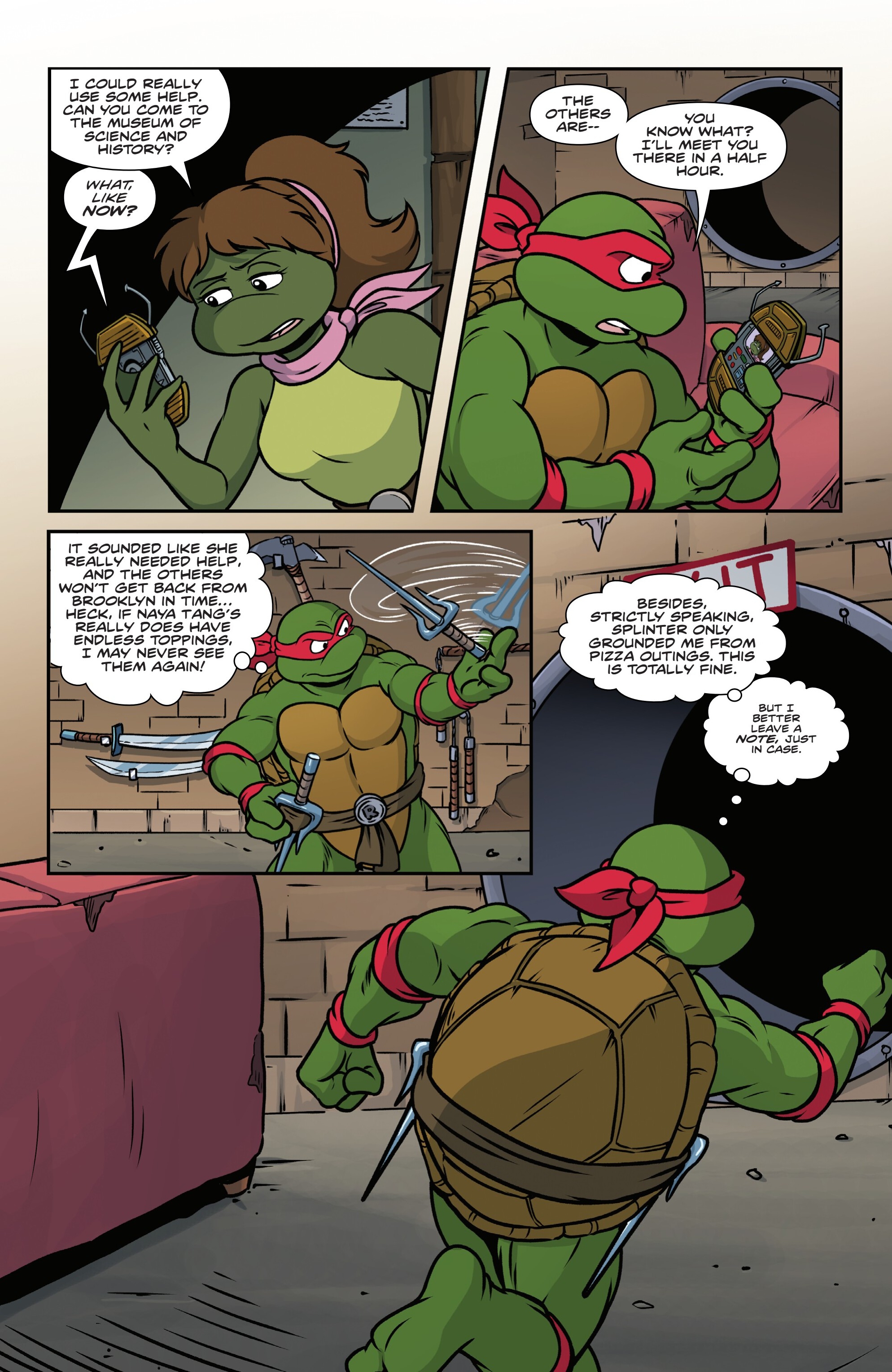 Teenage Mutant Ninja Turtles: Saturday Morning Adventures Continued (2023-) issue 17 - Page 9