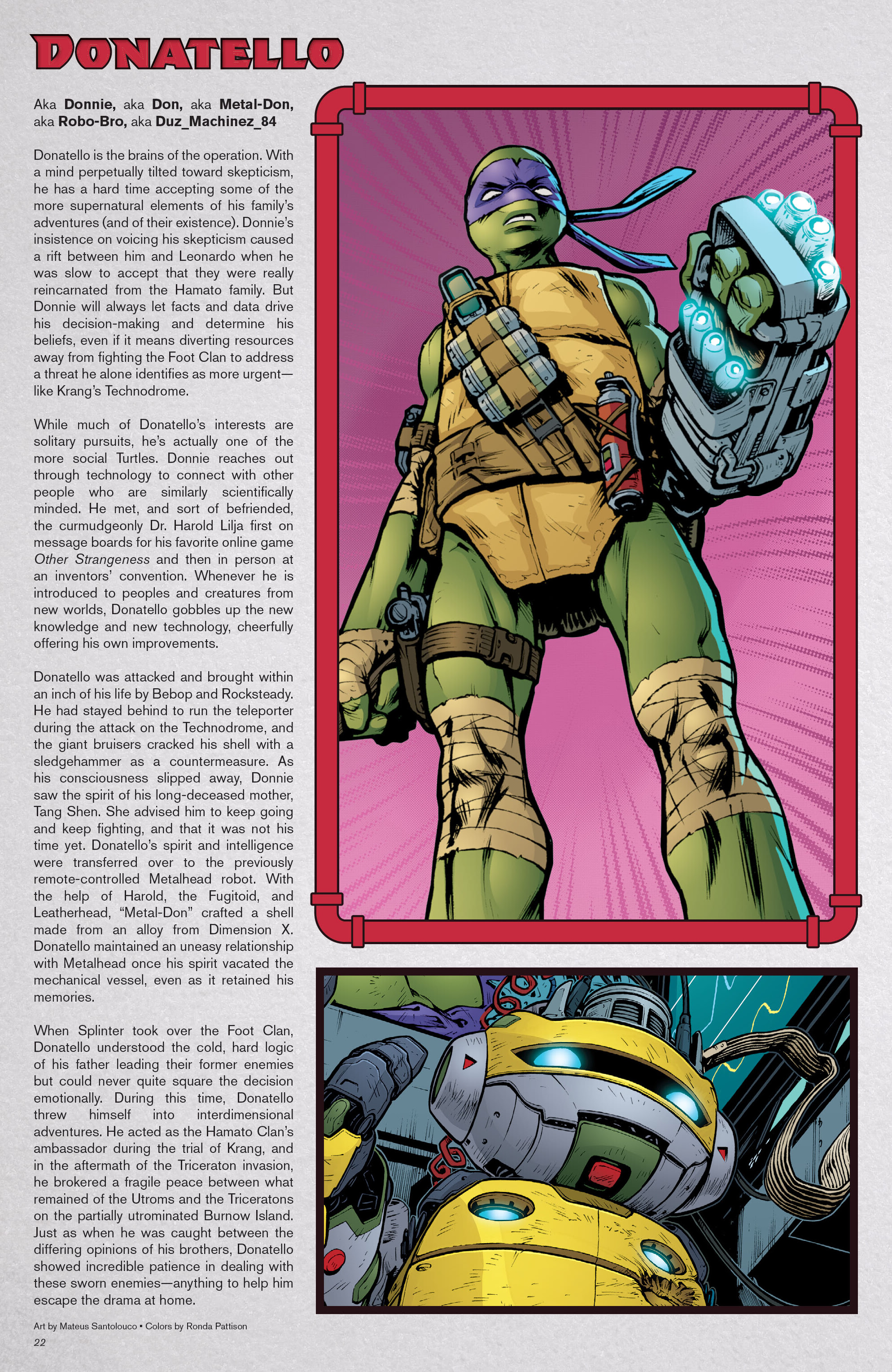 Teenage Mutant Ninja Turtles: Sourcebook (2024-) issue 1 - Page 19